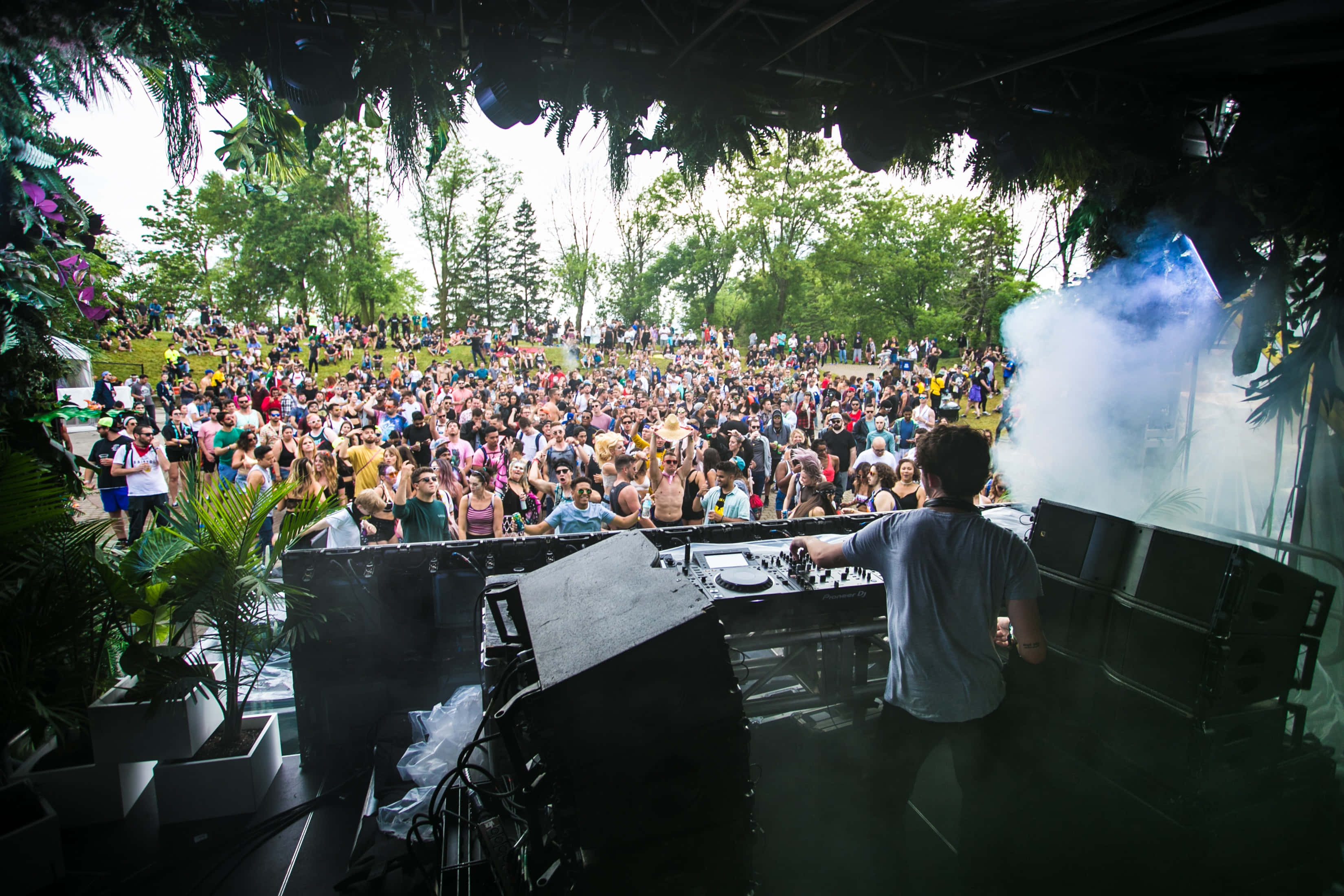 music festival 桌布 壁紙 — 一位DJ在戶外音樂節表演，人群在茂密綠植和升起的煙霧下跳舞。