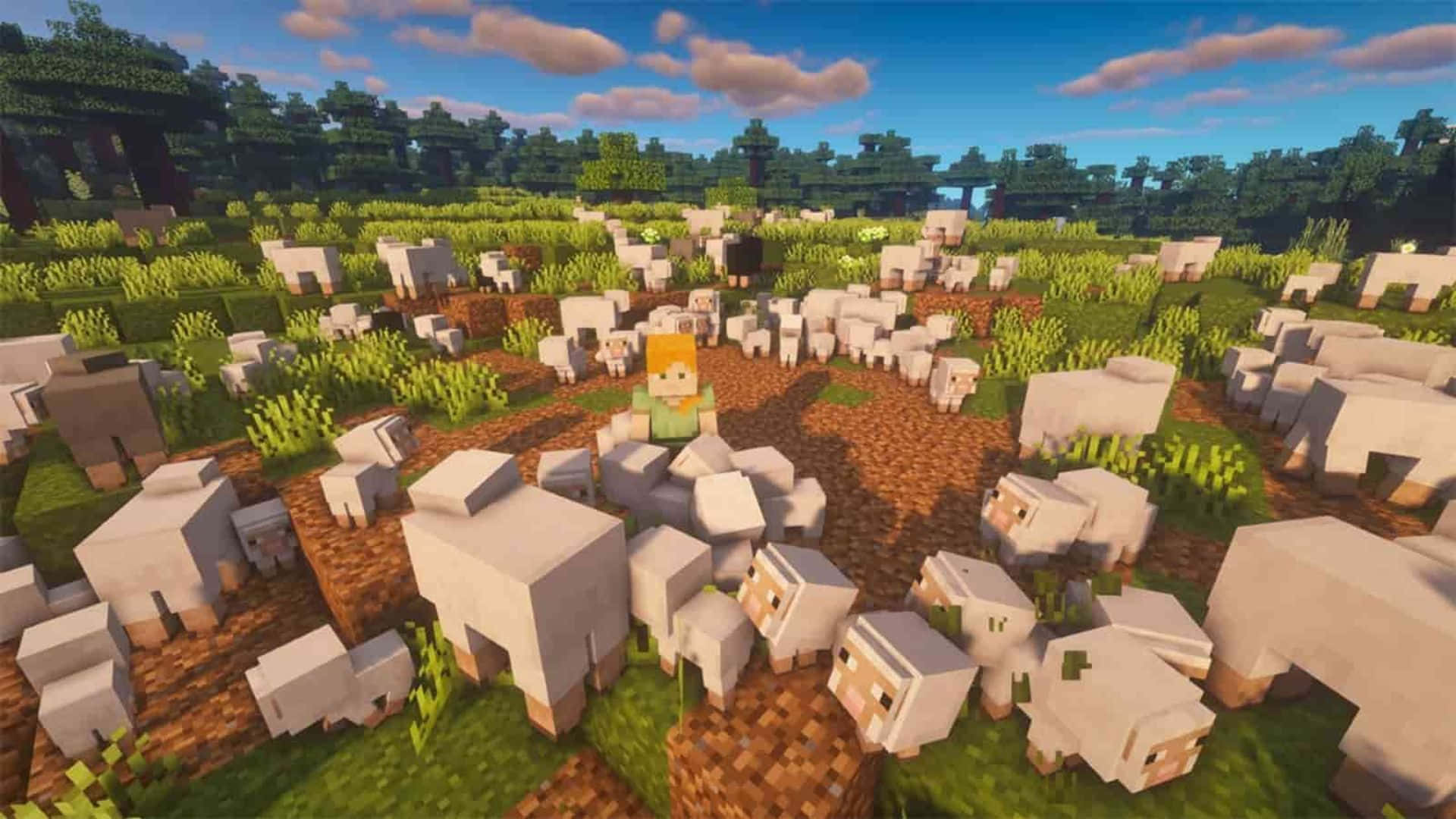 Minecraft Sheep 桌布 壁紙 — 一位Minecraft玩家在有 fluffy 雲的藍天下，站在草地上被一群羊包圍。