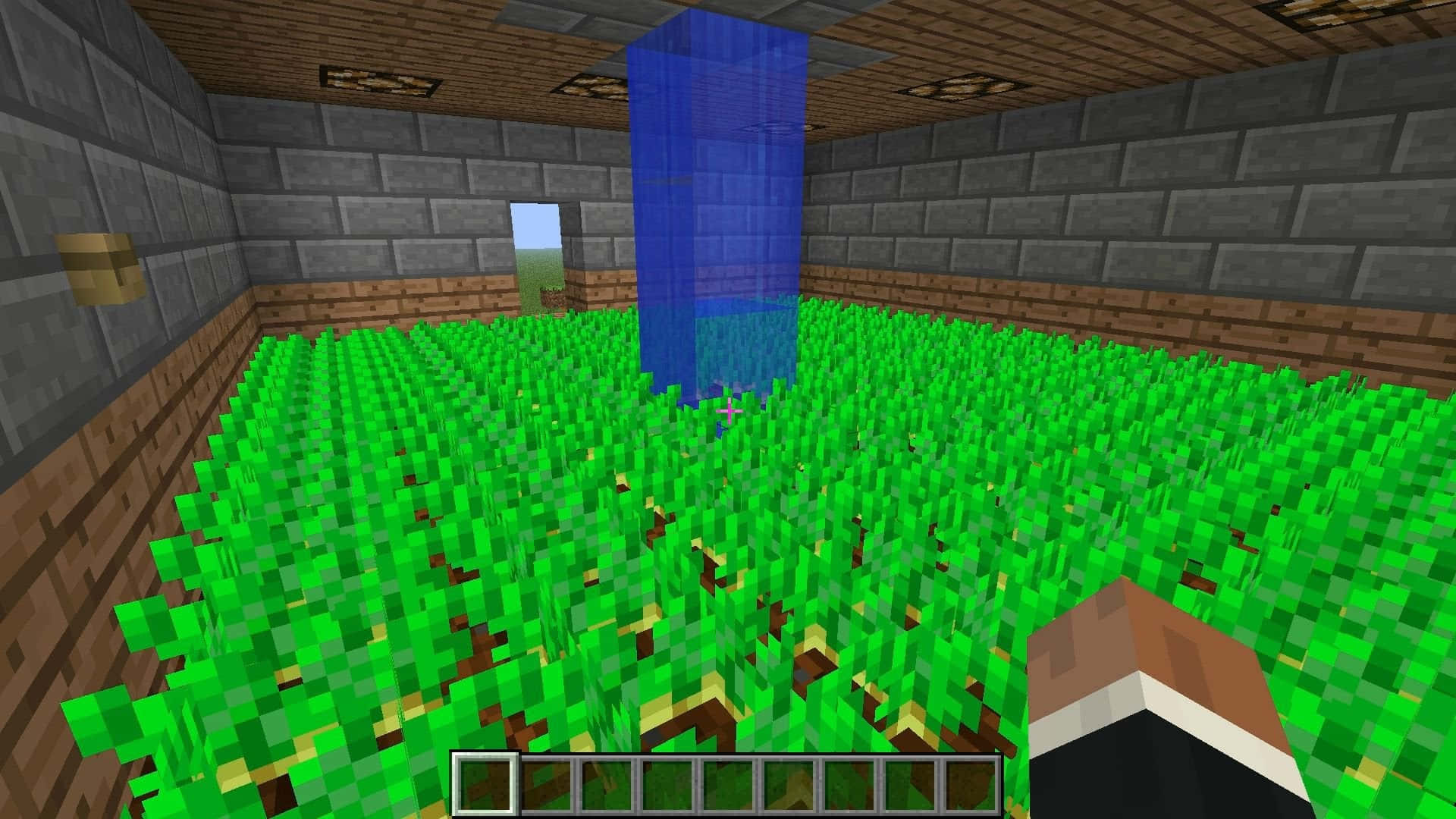 Minecraft Farming 桌布 壁紙 — 一位Minecraft玩家站在一個有草地的室內房間，內有藍色水柱和石磚牆。