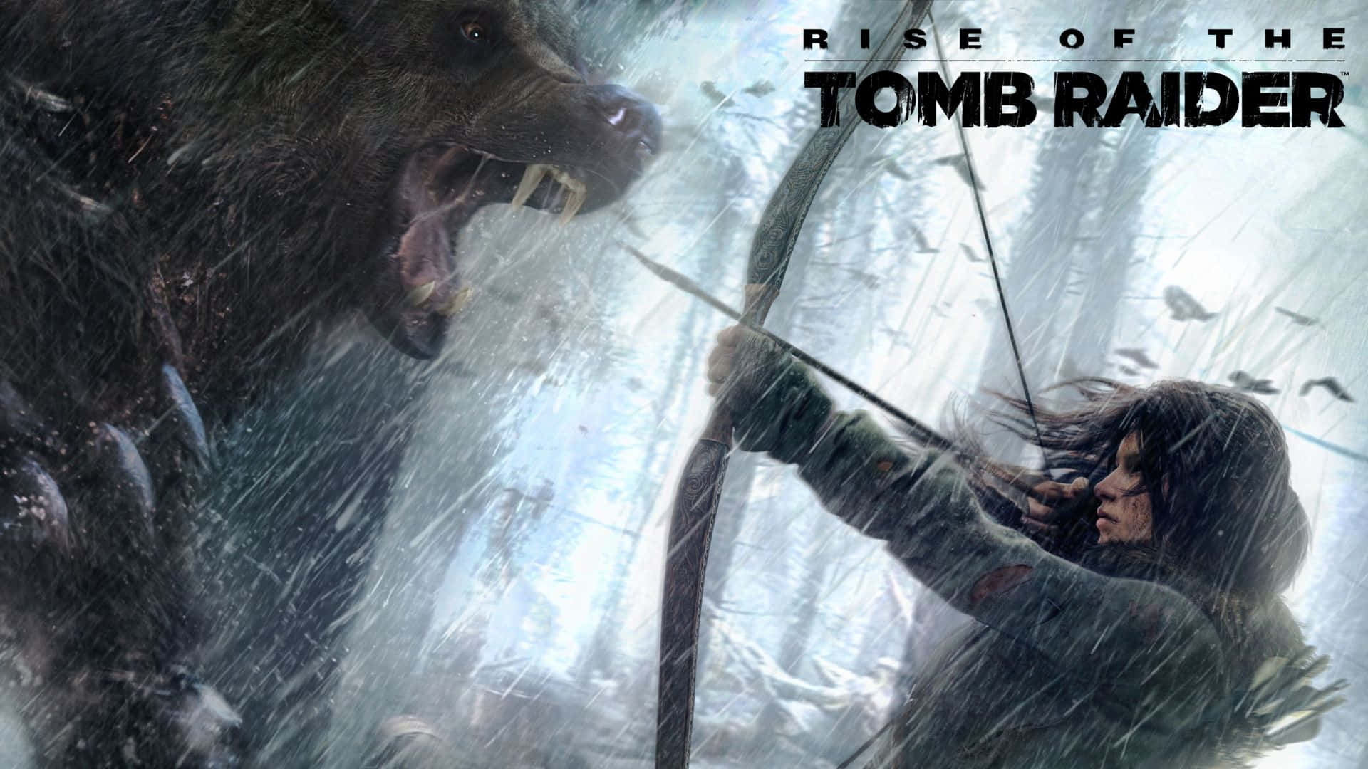 Lara Croft 桌布 壁紙 — 一位兇猛的戰士拉弓面對一隻在暴風雪中咆哮的熊，暴風雪中充滿了飄落的雪和鳥。