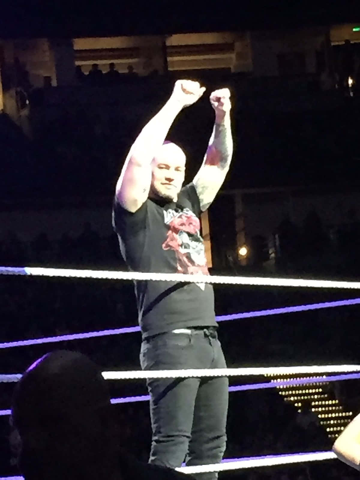 WWE 桌布 壁紙 — 一位光頭摔角手穿著黑色T恤，在燈光明亮、有紫色繩索的擂台上高舉雙拳慶祝勝利。