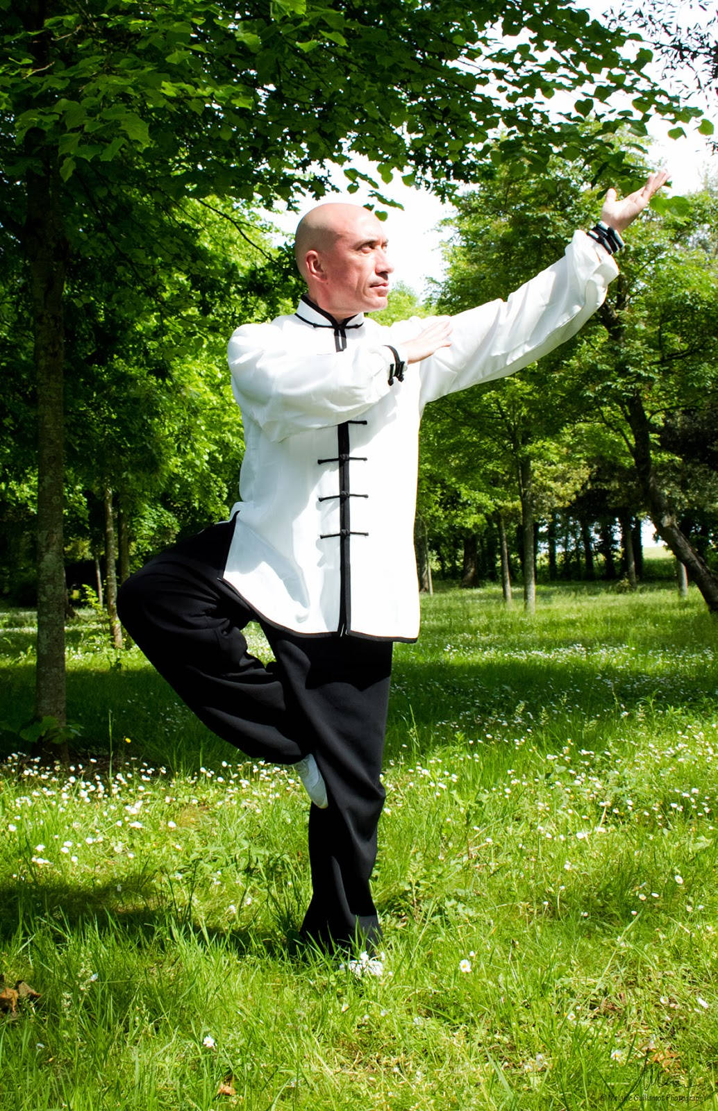 Exercise 桌布 壁紙 — 一位光頭男子身穿黑白武術服，在陽光普照、點綴著白花的森林空地中擺出優雅的姿勢。