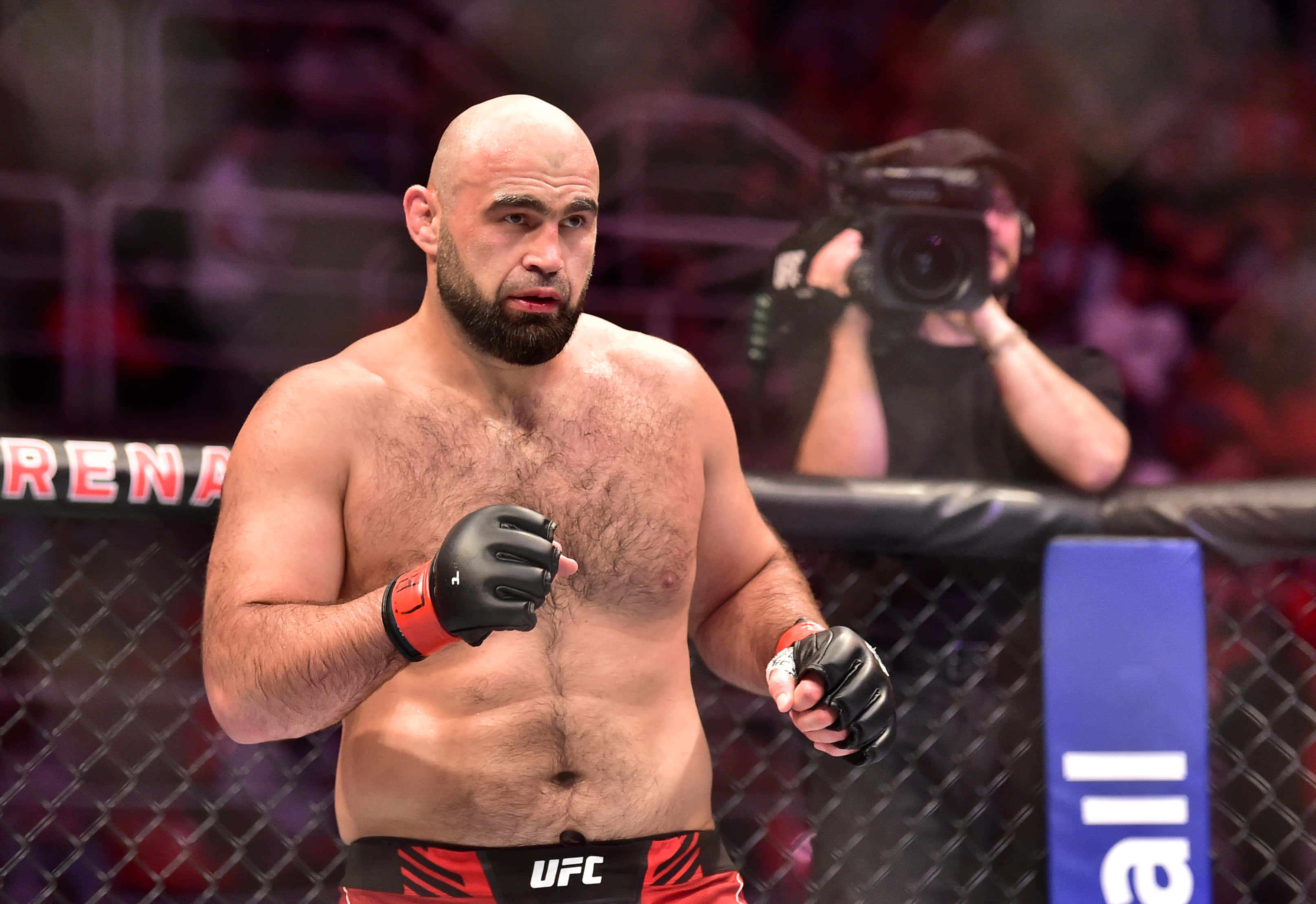 UFC 桌布 壁紙 — 一位光頭鬍鬚戰士戴著黑色手套和紅色UFC短褲，專注地站在昏暗的八角籠內，背景有模糊的人群和攝影機。