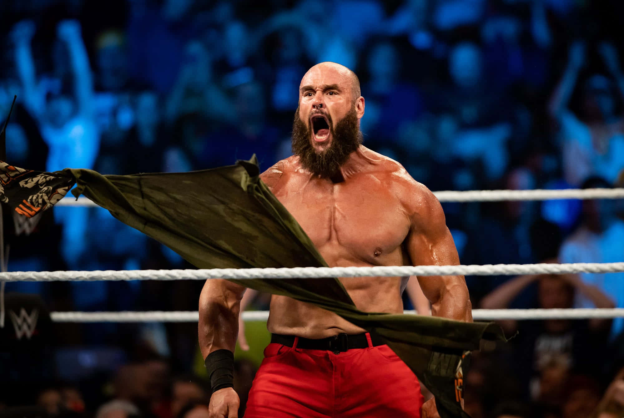 WWE 桌布 壁紙 — 一位光頭鬍鬚摔角手穿著紅色短褲，在擂台上撕破綠色長袍，發出勝利的咆哮。