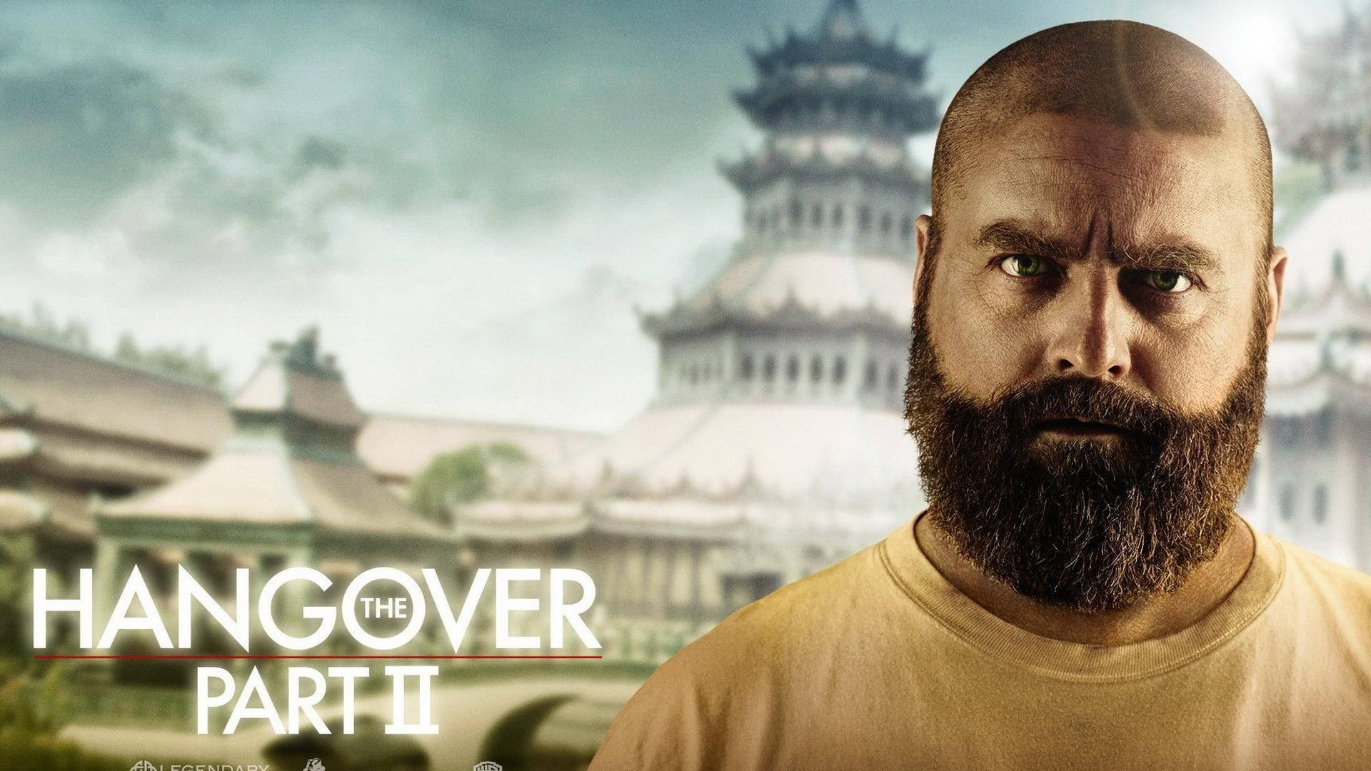the hangover 桌布 壁紙 — 一位光頭鬍鬚男穿著米色T恤，在模糊的亞洲建築和陰天背景下，專注地凝視著鏡頭。