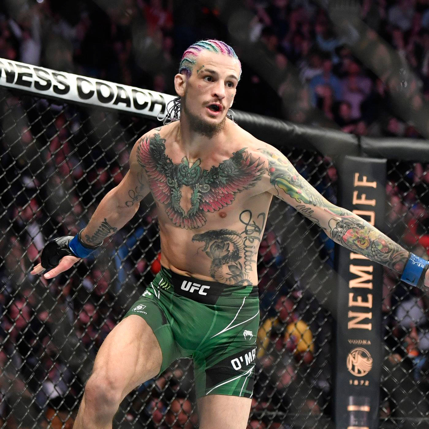 Tattoo 桌布 壁紙 — 一位刺青、彩虹髮色的混合武術選手在UFC八角籠內慶祝，籠後有咆哮的人群。