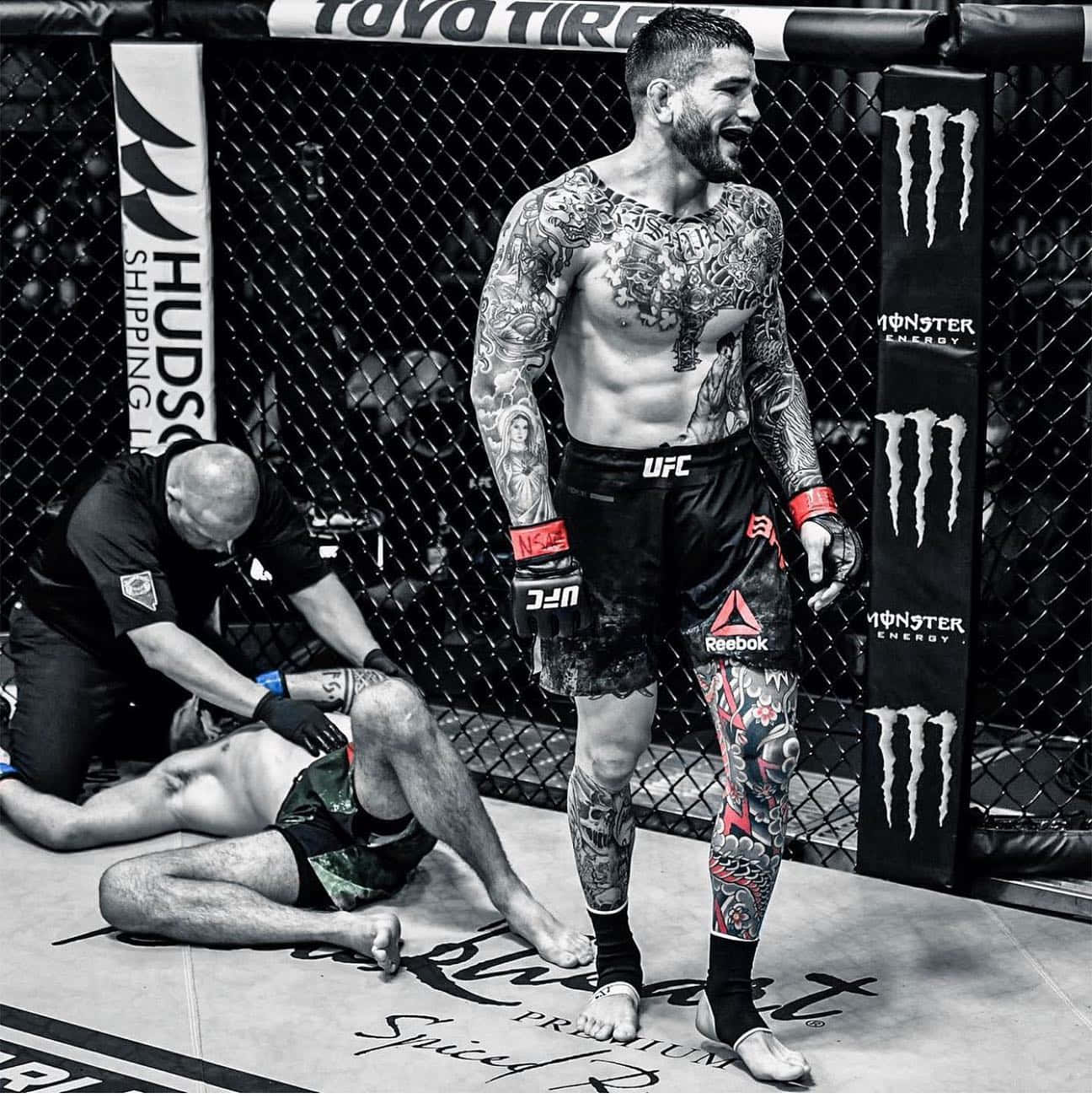 MMA 桌布 壁紙 — 一位刺青MMA拳手在籠中勝利地站立，而他的對手則被打敗躺在地上，裁判正在檢查他。