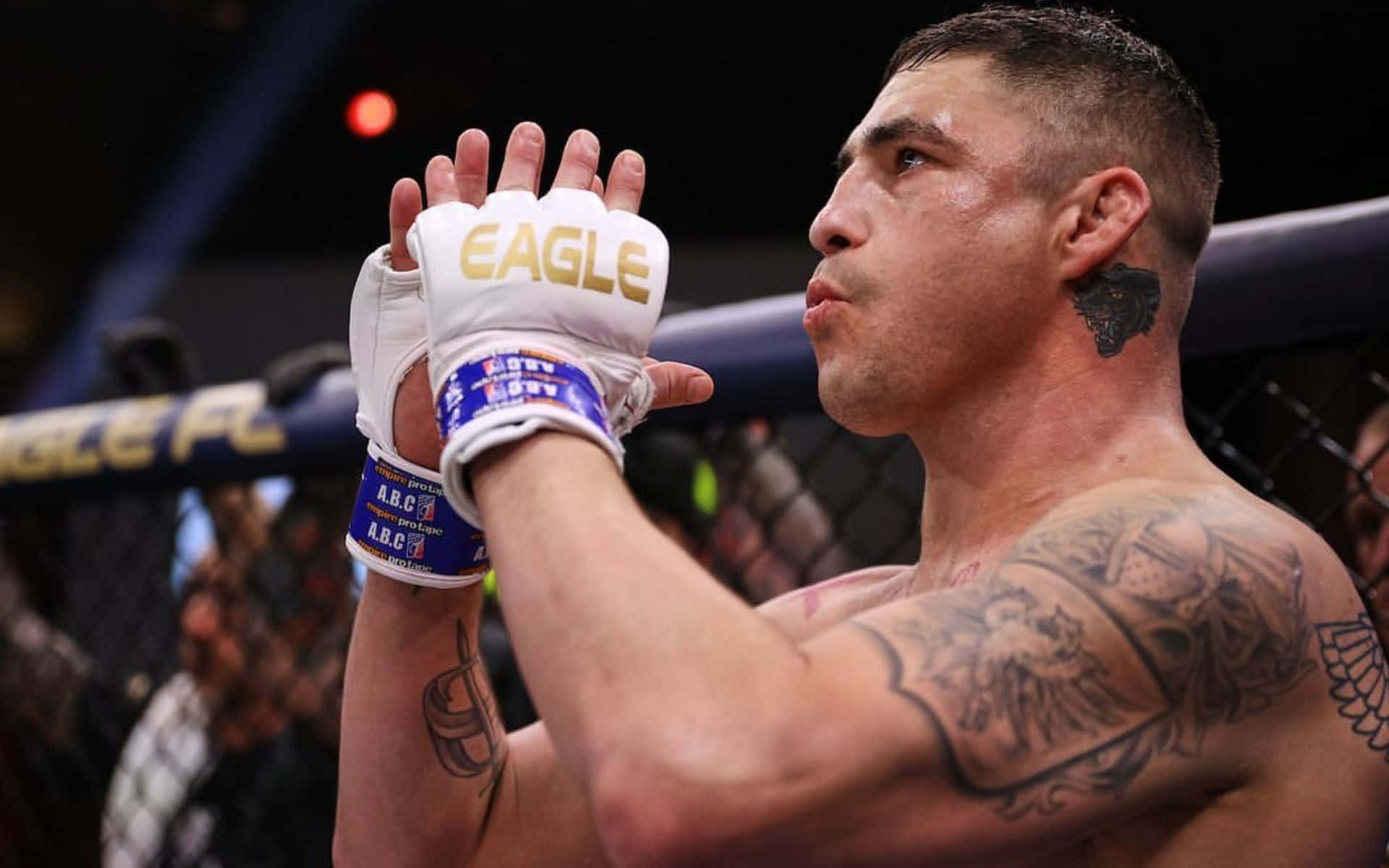 MMA 桌布 壁紙 — 一位刺青混合武術家戴著白色手套，在明亮的競技場燈光下於格鬥籠中舉起雙手。