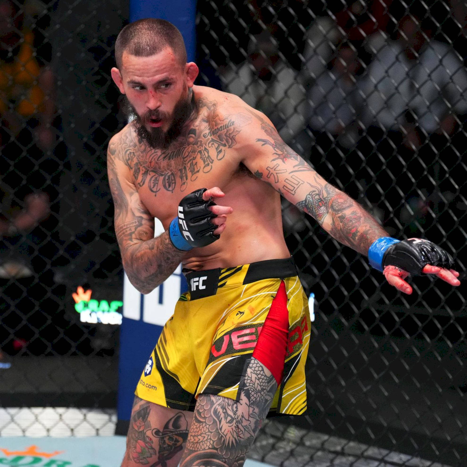 UFC 桌布 壁紙 — 一位刺青的混合武術家穿著黃色短褲，在UFC八角籠內戰鬥時向前猛衝。