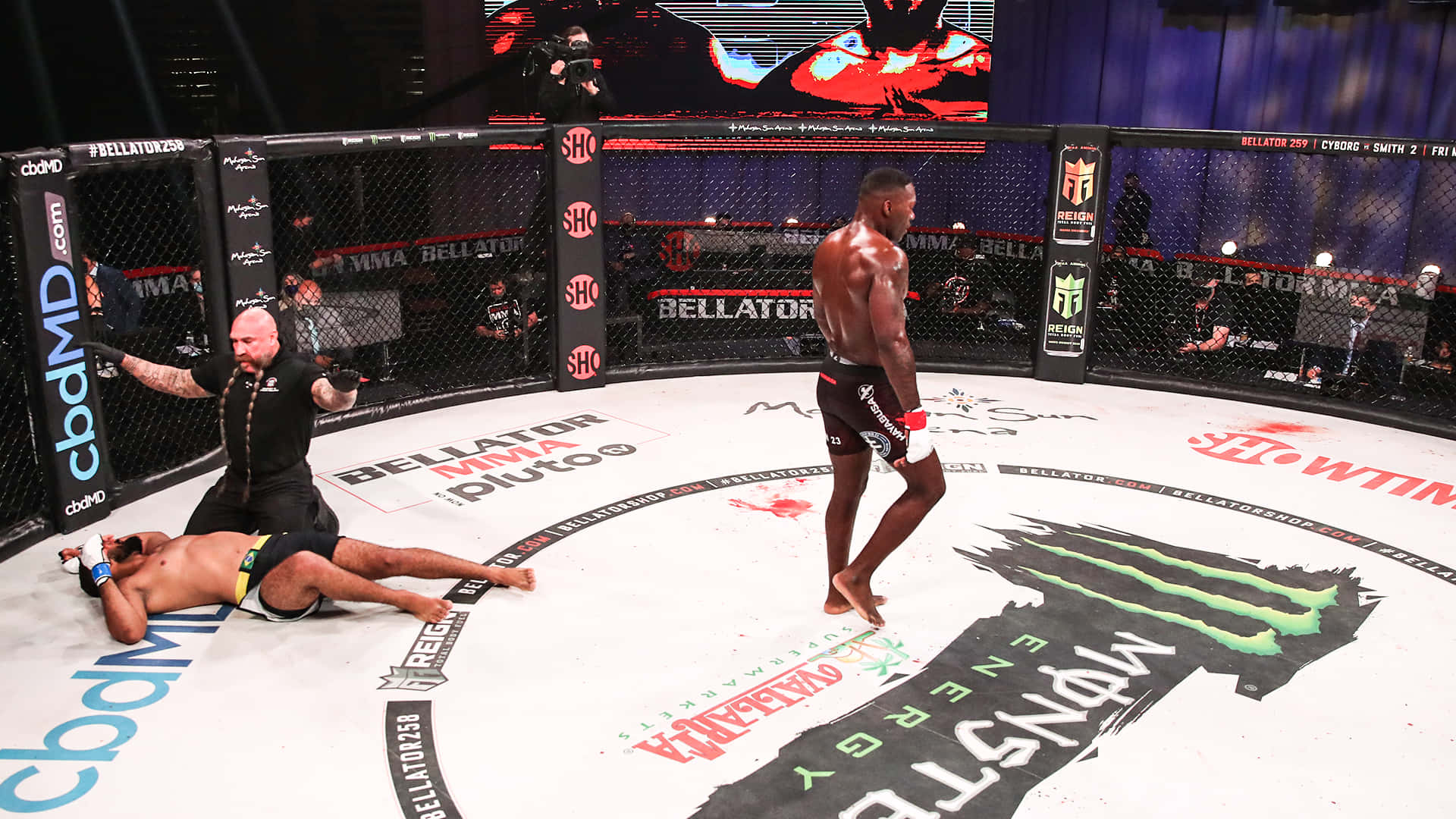 UFC 桌布 壁紙 — 一位勝利的MMA拳手在明亮的場館燈光下，站在Bellator籠中擊敗的對手之上。