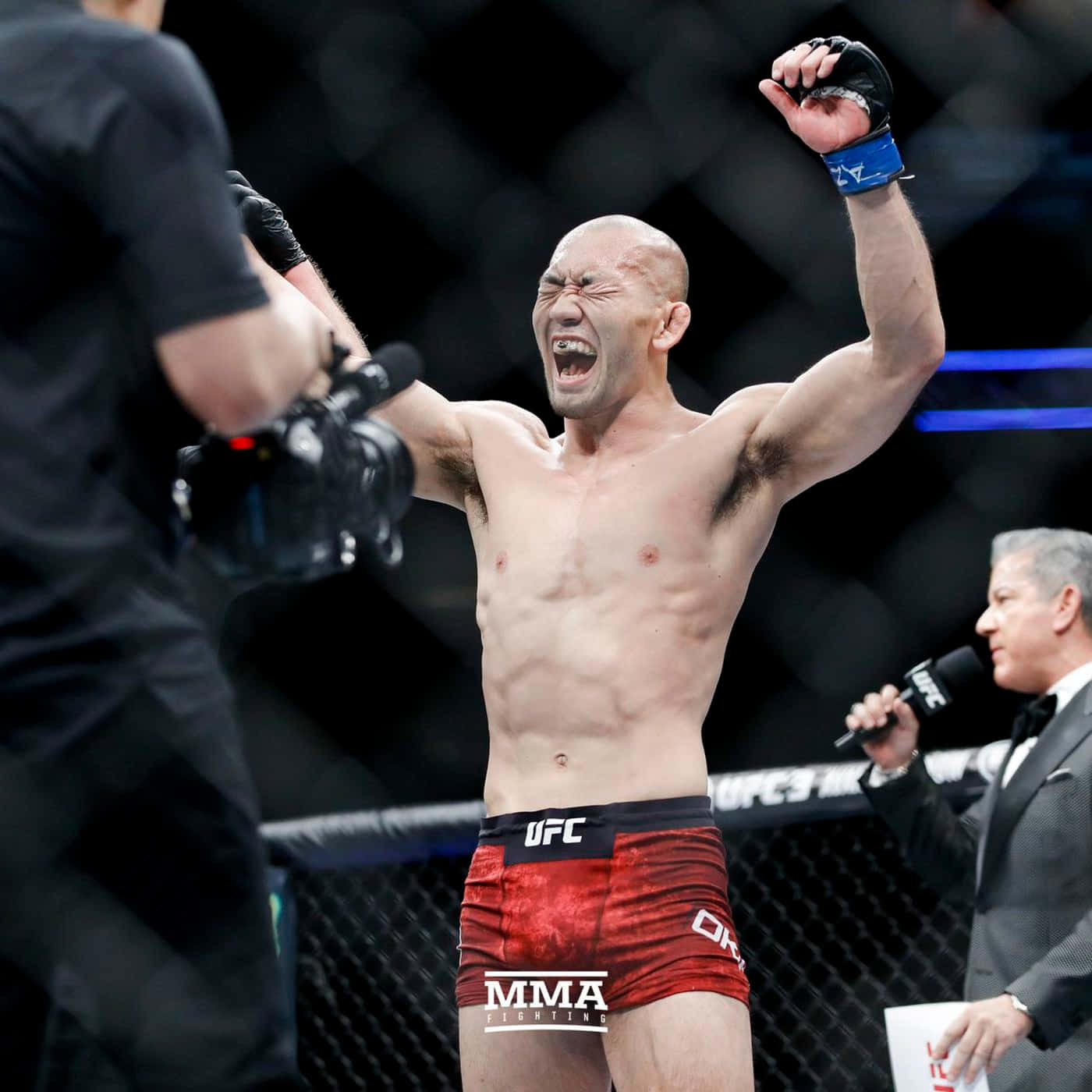 UFC 桌布 壁紙 — 一位勝利的MMA拳手在明亮的場館燈光下，於八角籠內高舉雙臂勝利吶喊。
