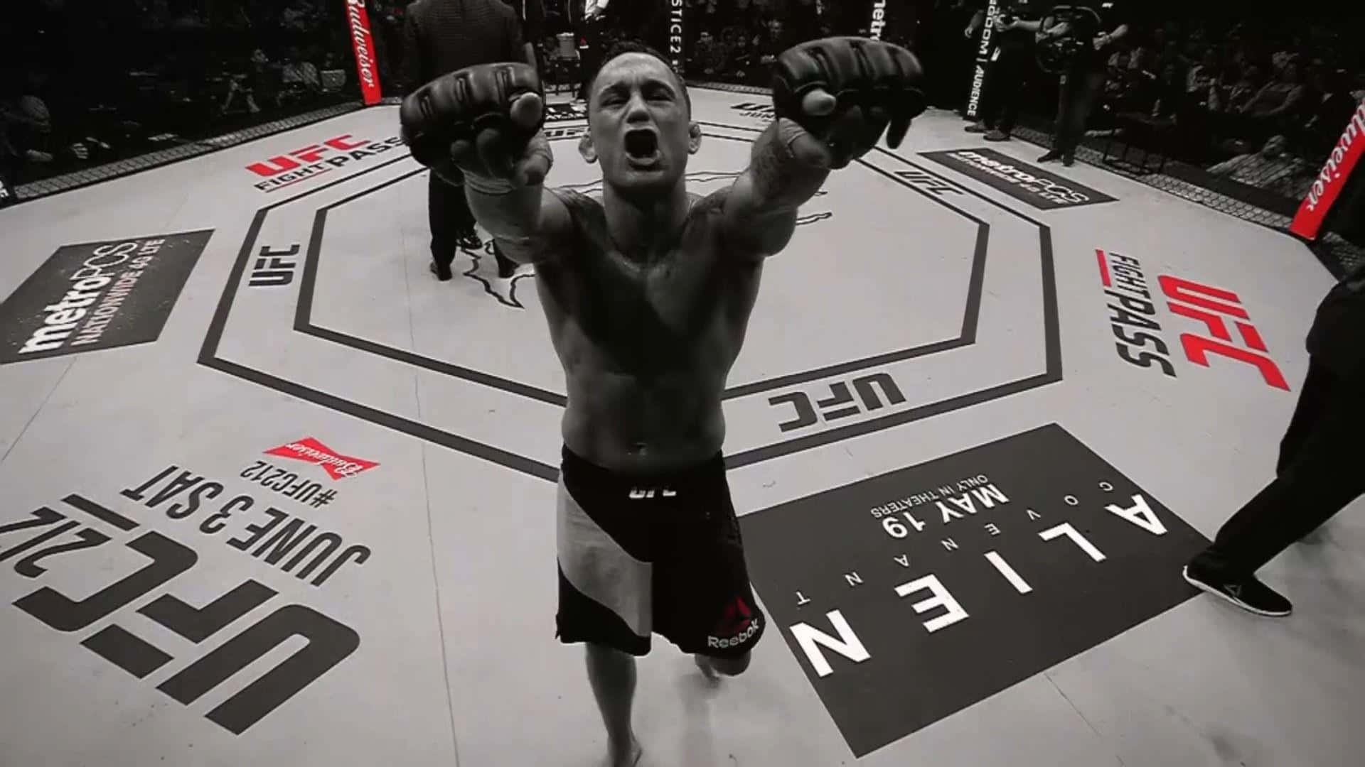 UFC 桌布 壁紙 — 一位勝利的UFC拳手在八角籠中央高舉拳頭，發出勝利的咆哮。