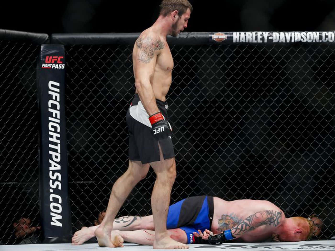 桌布 壁紙 — 一位勝利的UFC拳手在殘酷比賽後站在八角籠內被擊敗的對手之上。