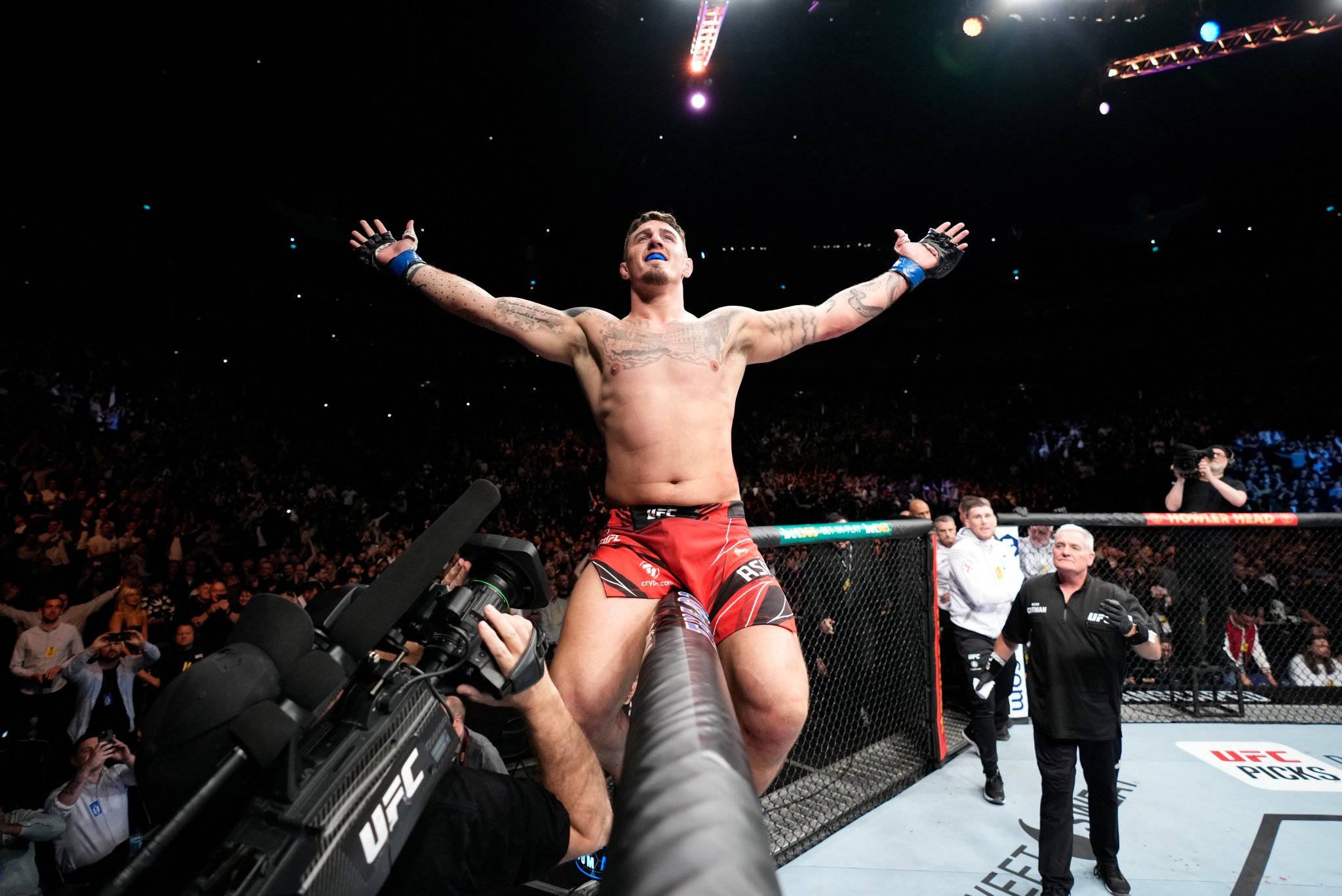 UFC 桌布 壁紙 — 一位勝利的UFC拳手站在八角籠圍欄頂部，在場館燈光下高舉雙臂慶祝勝利，背後是咆哮的人群。