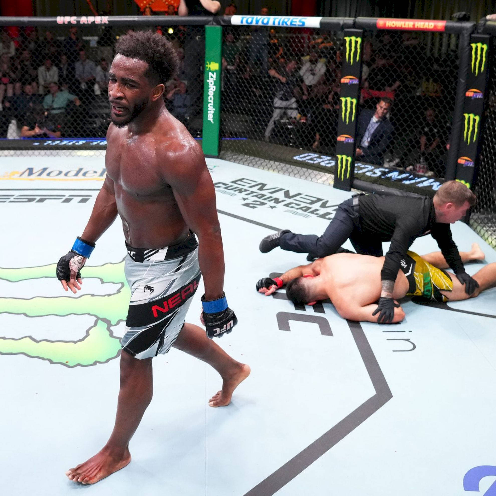 MMA 桌布 壁紙 — 一位勝利的UFC拳手走開，裁判停止比賽並檢查八角籠地板上的對手。
