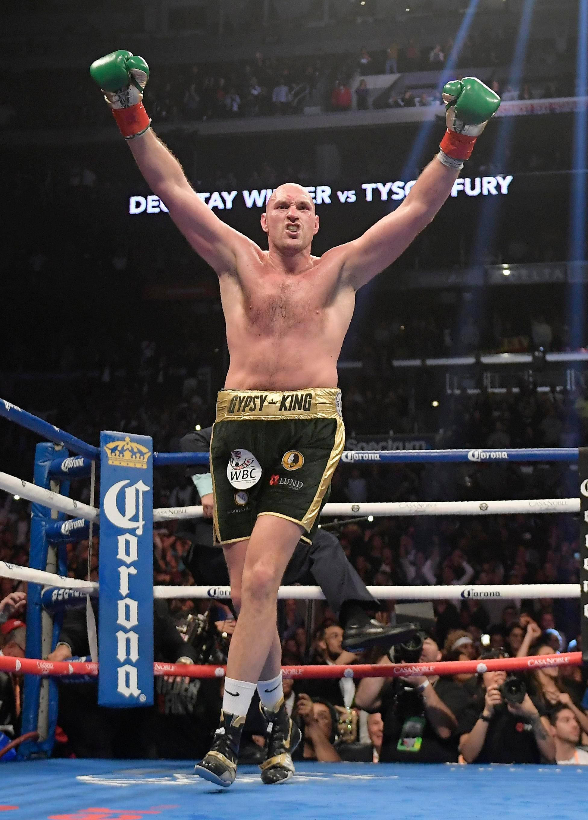 fury 桌布 壁紙 — 一位勝利的拳擊手在燈光明亮的擂台上高舉綠色手套慶祝勝利，周圍有歡呼的人群和贊助商標誌。