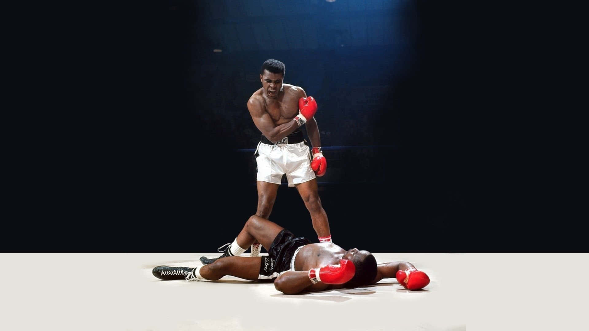 Best Sports 桌布 壁紙 — 一位勝利的拳擊手站在倒下的對手之上，在昏暗的擂台上，只有一盞聚光燈照射。