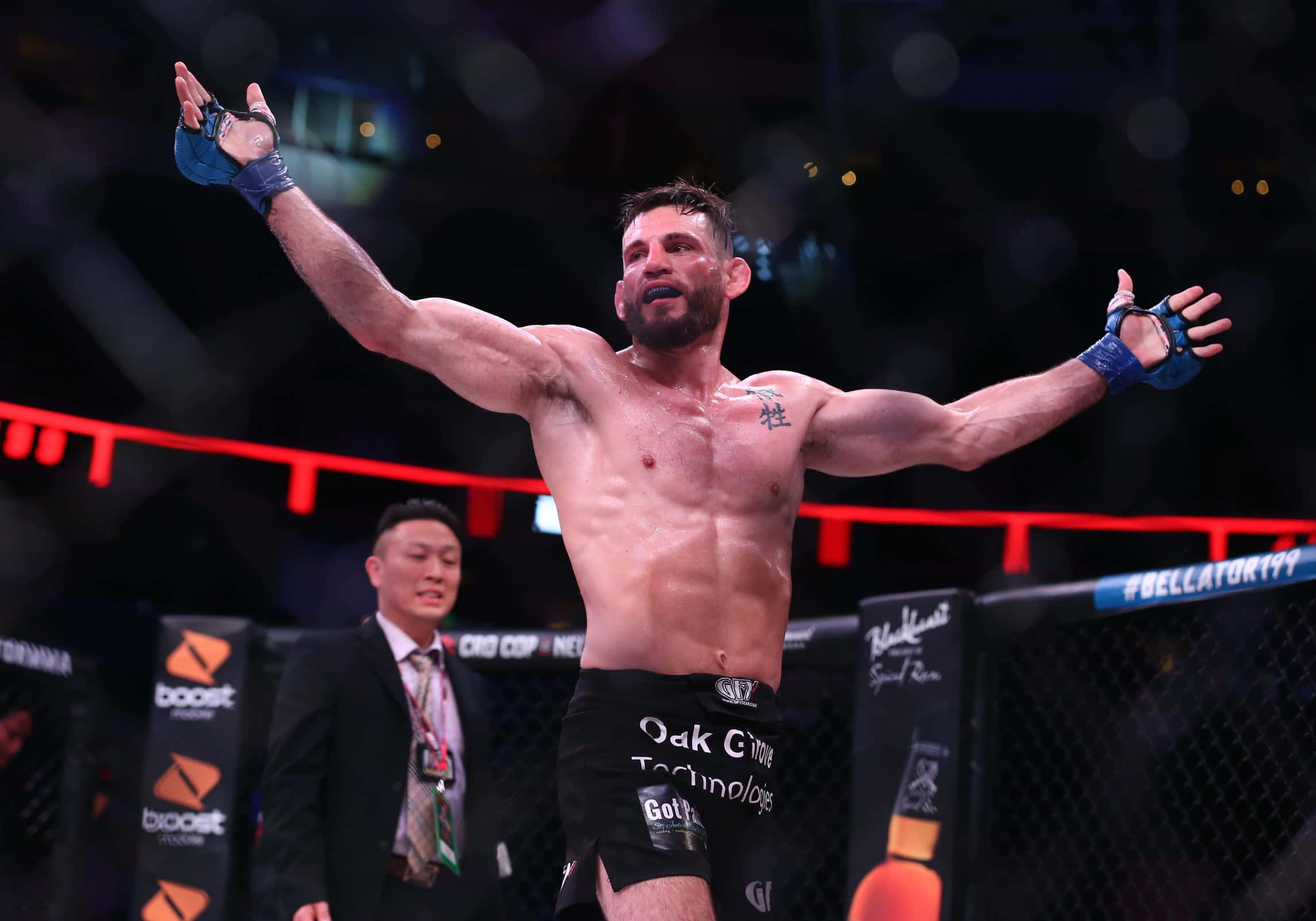 UFC 桌布 壁紙 — 一位勝利的混合武術家在Bellator比賽期間，在燈光明亮的八角籠內高舉雙臂慶祝。