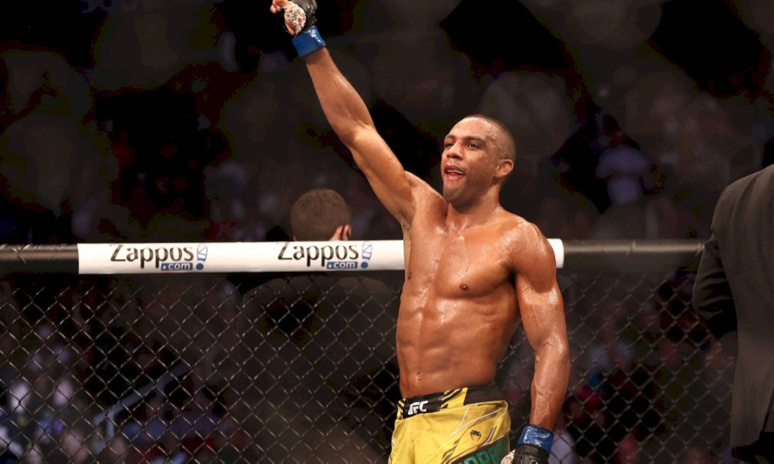 UFC 桌布 壁紙 — 一位勝利的混合武術家在UFC八角籠內高舉他的手套拳頭，背後是模糊的人群。