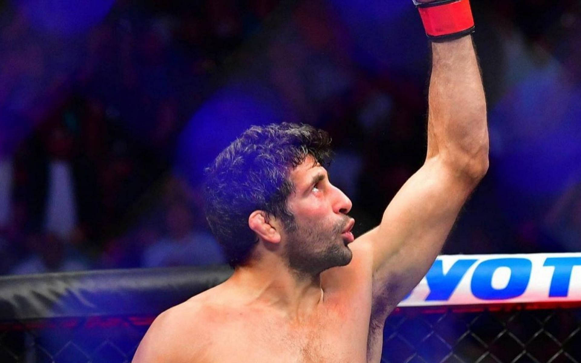 UFC 桌布 壁紙 — 一位勝利的混合武術家在一盞明亮的八角籠內高舉戴著手套的拳頭慶祝勝利，背景有模糊的觀眾。