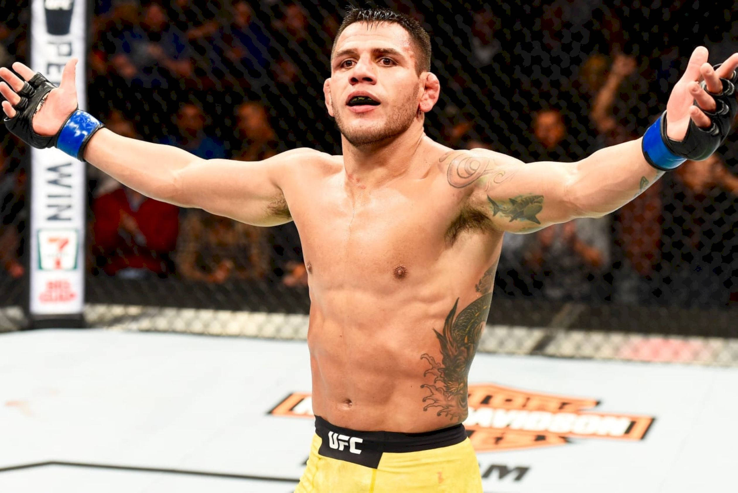 UFC 桌布 壁紙 — 一位勝利的混合武術家在明亮的場館燈光下，在UFC八角籠內張開雙臂慶祝。