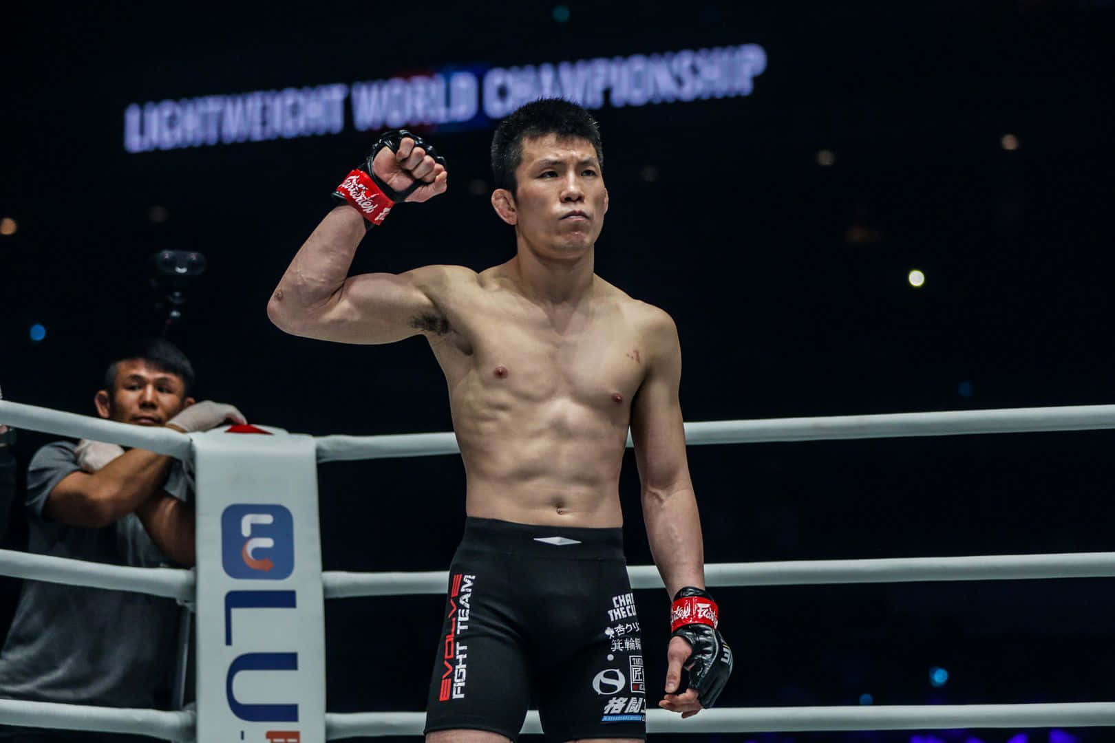 martial arts 桌布 壁紙 — 一位勝利的混合武術家在競技場燈光下的明亮拳擊擂台內高舉拳頭慶祝勝利。