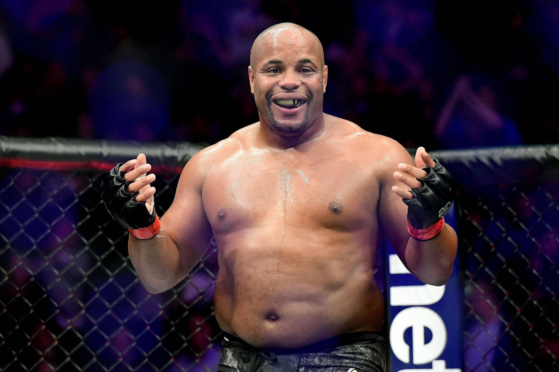 Man 桌布 壁紙 — 一位勝利的混合武術家在籠中勝利後露出燦爛笑容，汗水在皮膚上閃閃發光。
