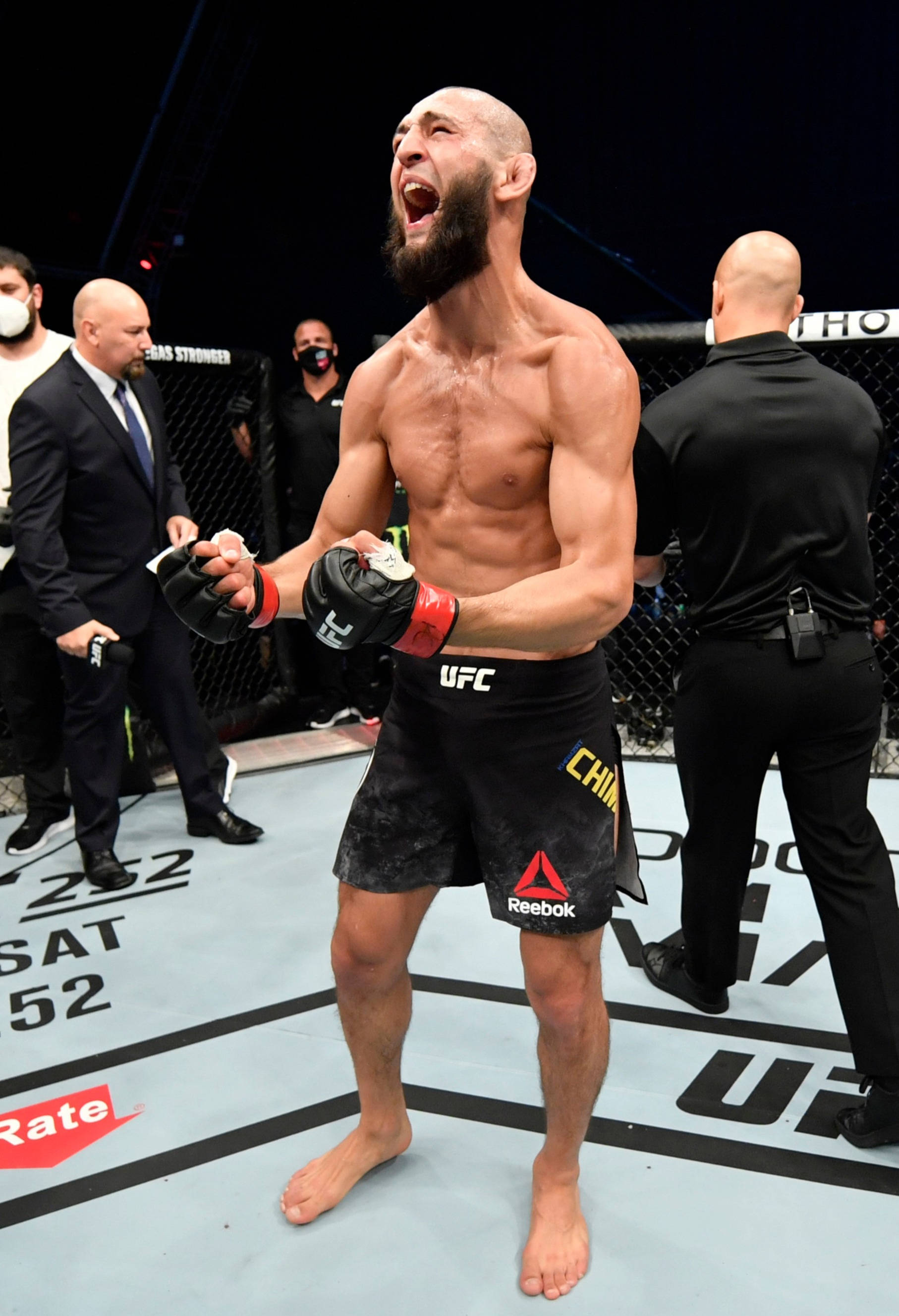 screaming 桌布 壁紙 — 一位勝利的混合武術選手在UFC八角籠內咆哮勝利，背景有官員和觀眾。