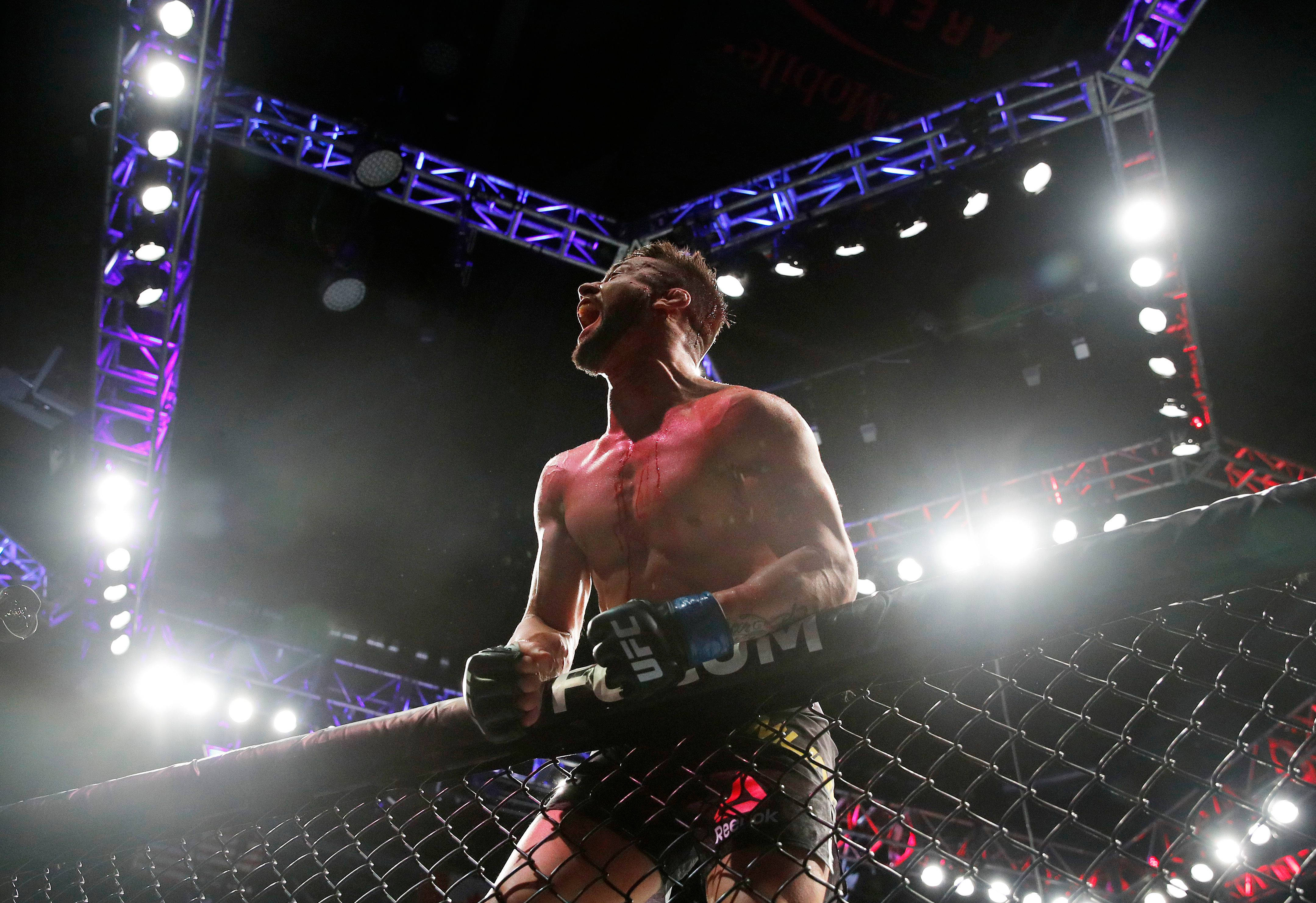 UFC 桌布 壁紙 — 一位勝利的混合武術選手在明亮的場館燈光下，靠在八角籠圍欄上發出勝利的咆哮。