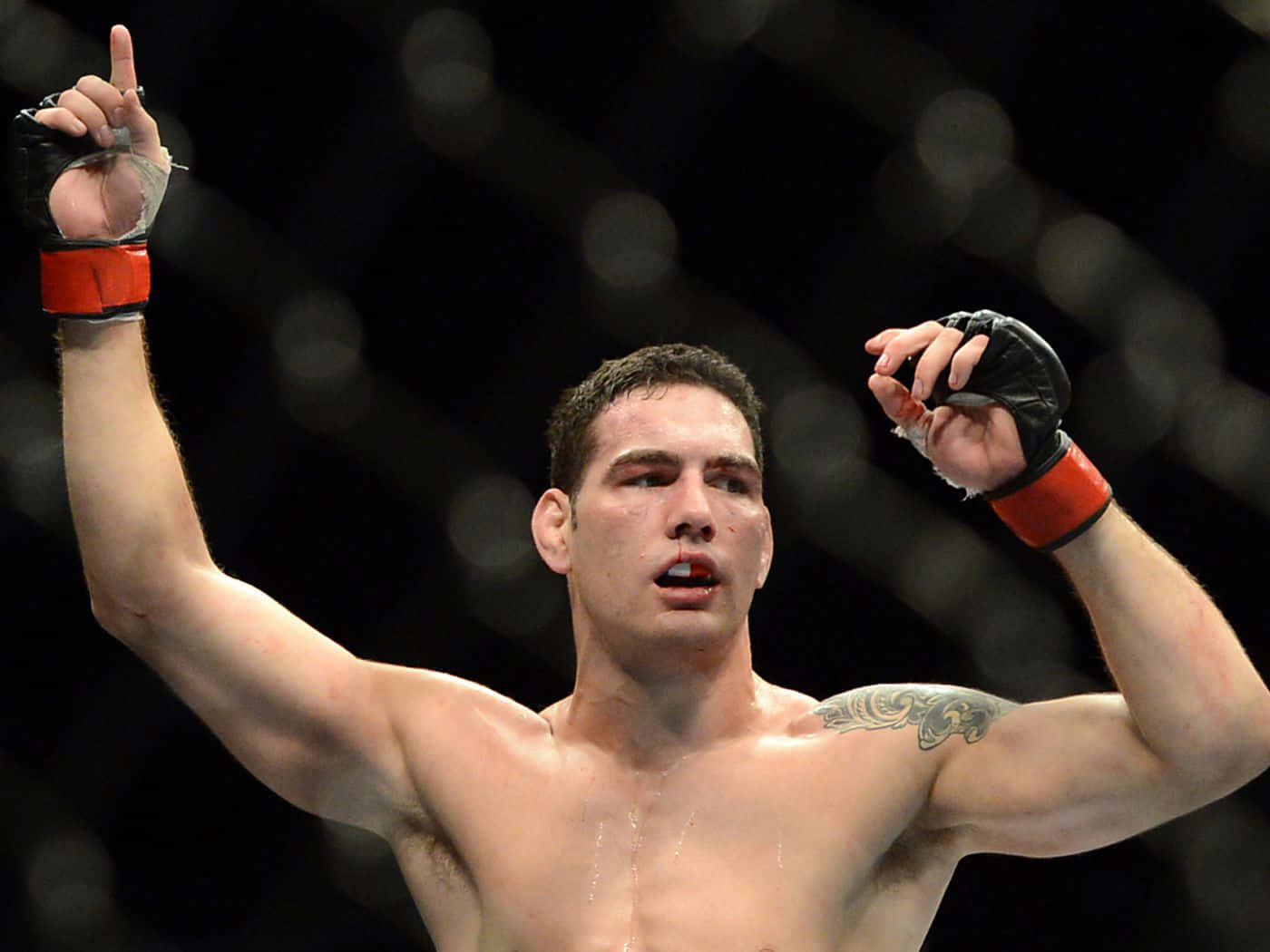 MMA 桌布 壁紙 — 一位勝利的混合武術選手在昏暗的八角籠內高舉雙臂慶祝勝利，身後是模糊的籠網。