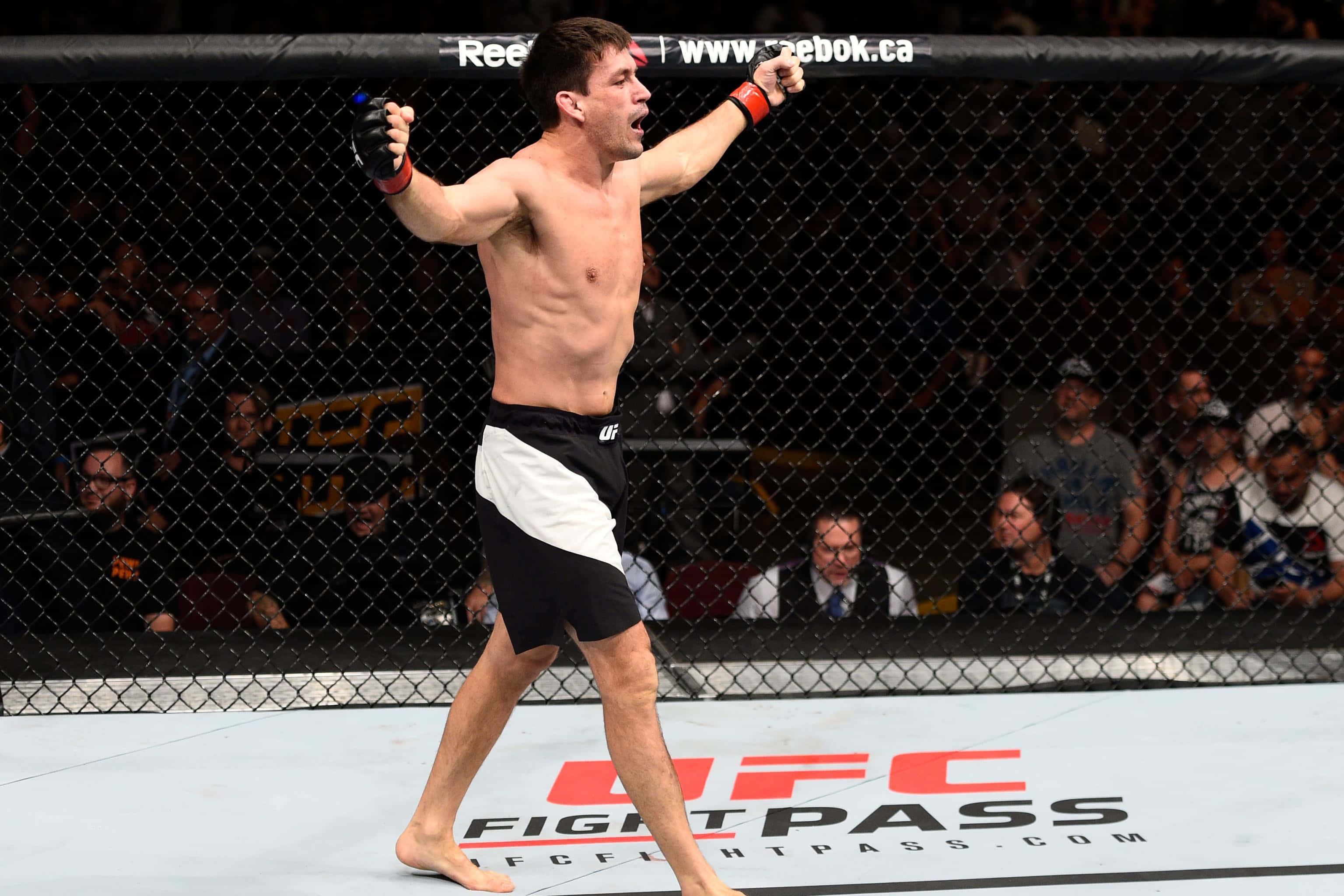 Champion 桌布 壁紙 — 一位勝利的綜合格鬥家在UFC八角籠內高舉雙臂，張口咆哮，勝利慶祝。