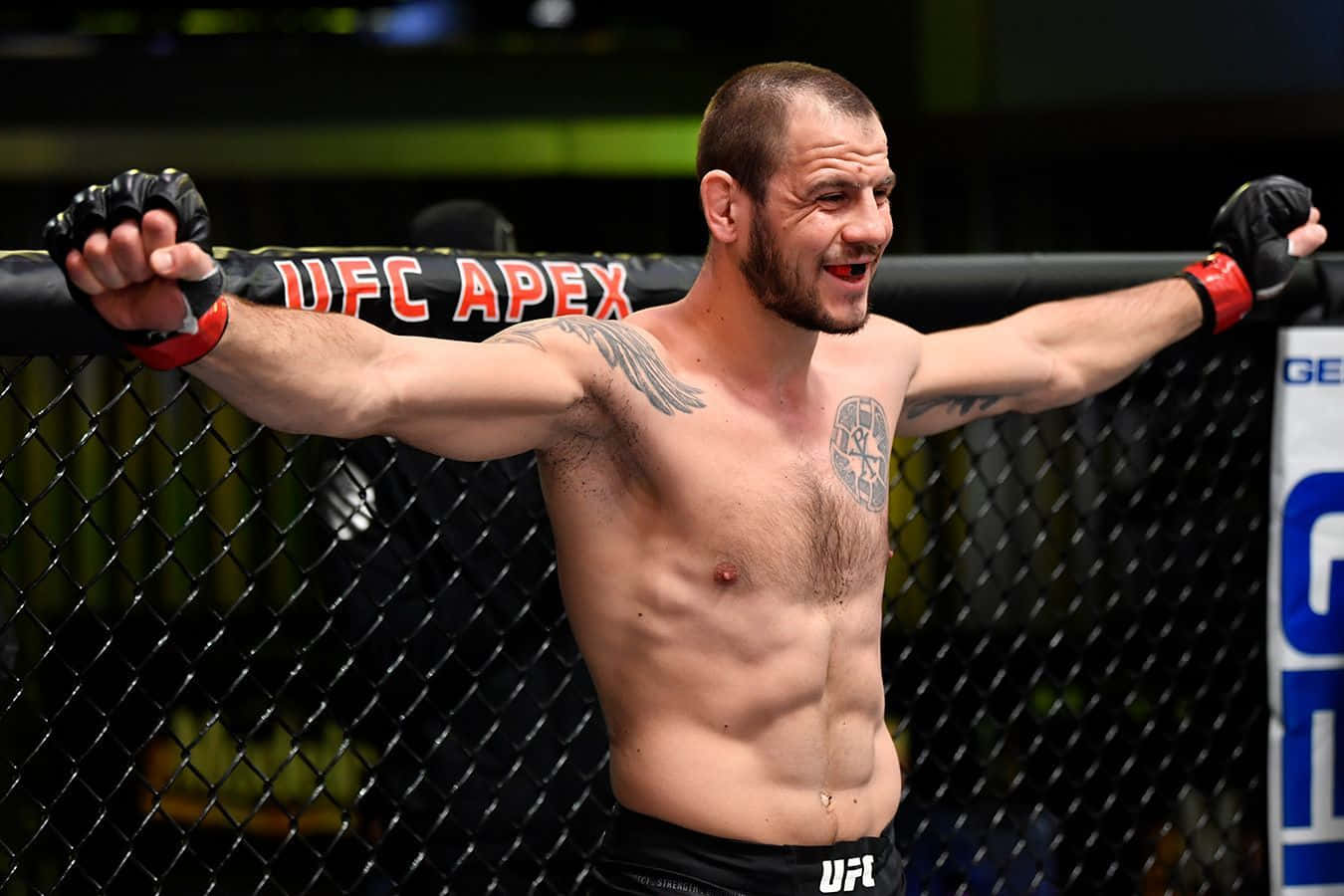桌布 壁紙 — 一位勝利的綜合格鬥家在UFC八角籠內高舉雙臂慶祝。
