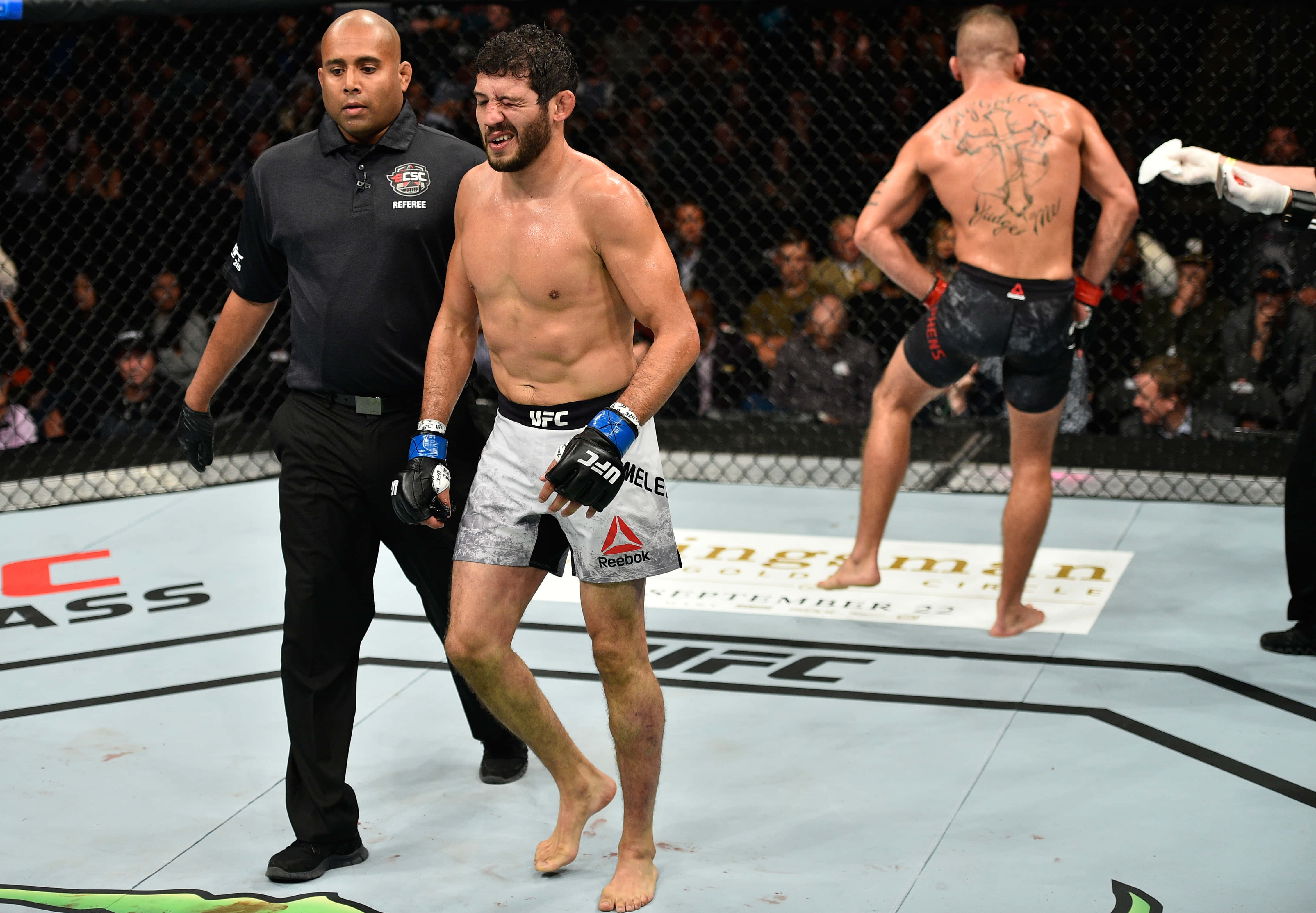 UFC 桌布 壁紙 — 一位勝利的綜合格鬥家在八角籠中慶祝，裁判走近，對手走開。