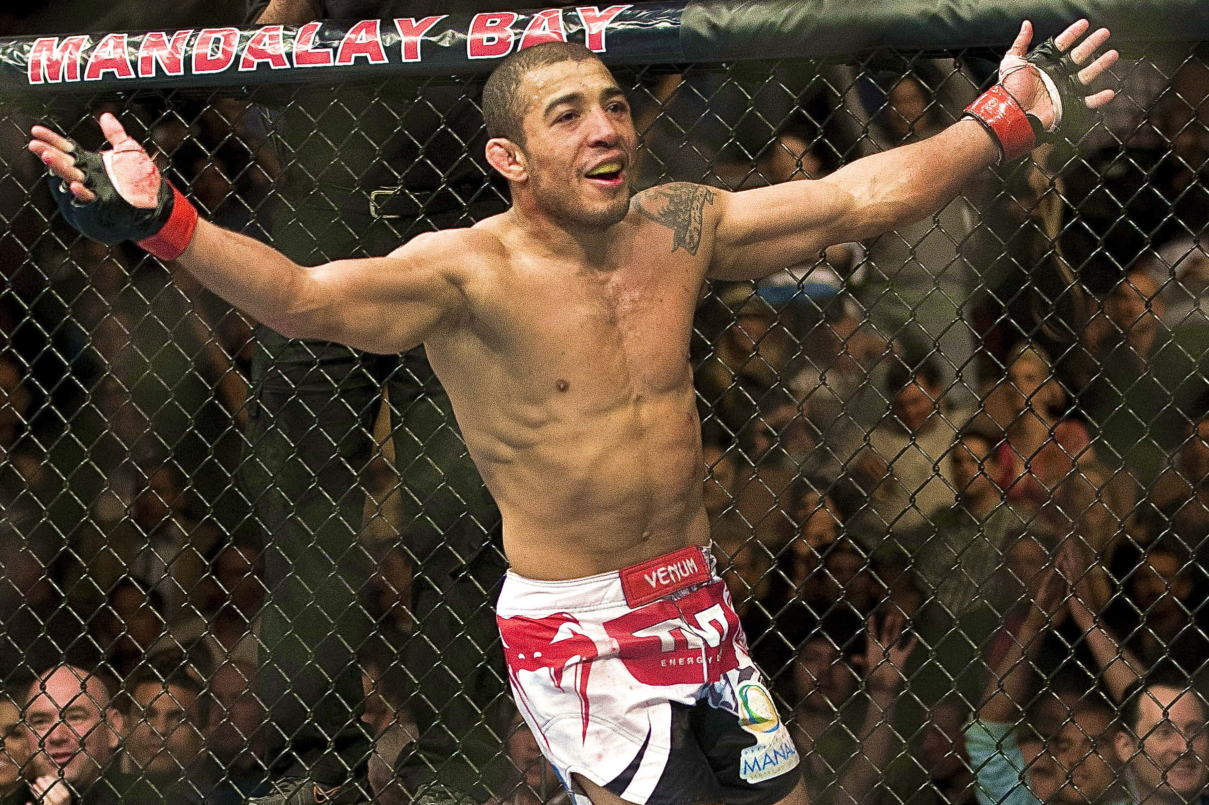 UFC 桌布 壁紙 — 一位勝利的綜合格鬥家在曼德勒海灣的籠內高舉雙臂慶祝。