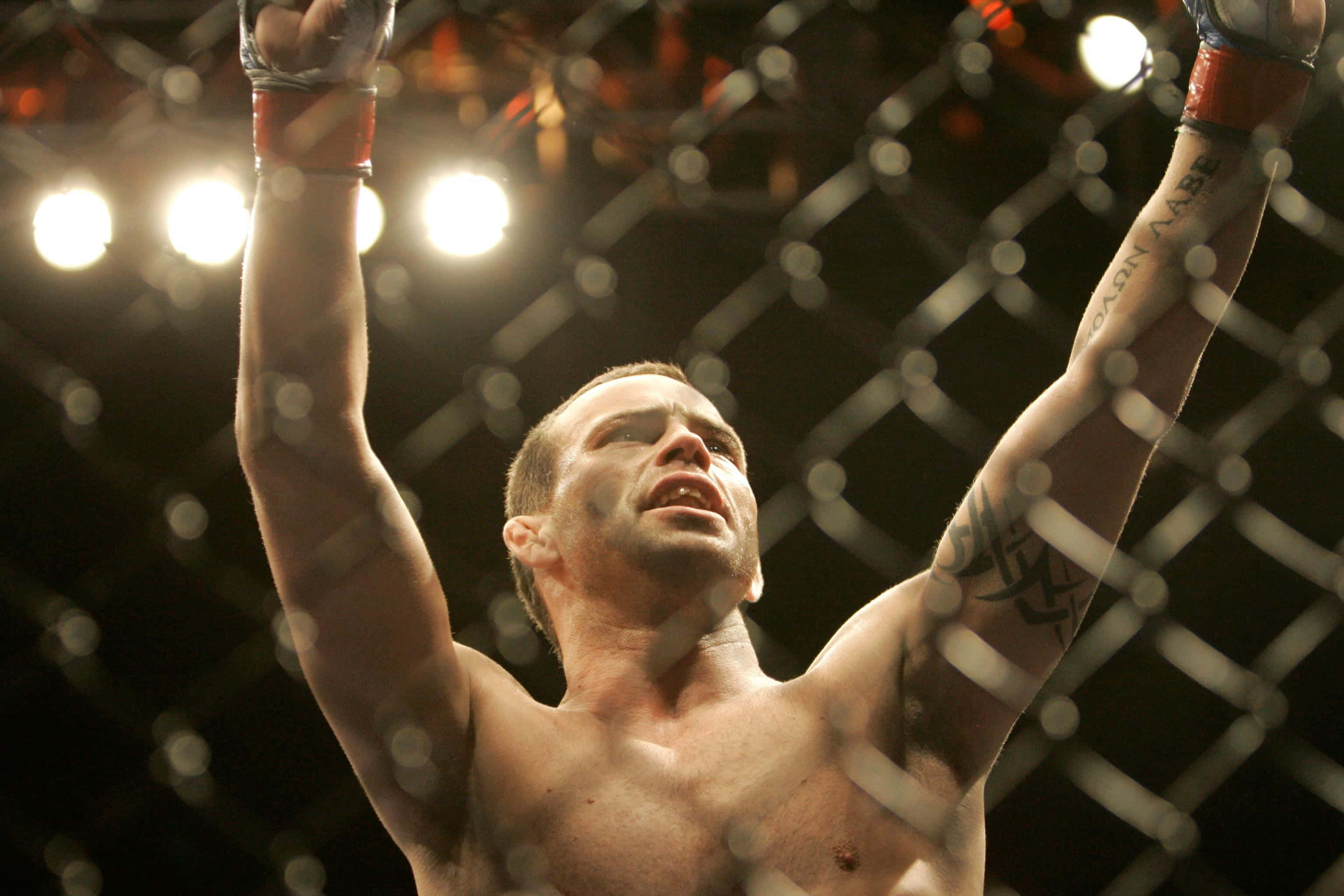 UFC 桌布 壁紙 — 一位勝利的綜合格鬥家在燈光明亮的八角籠內高舉雙臂慶祝勝利。