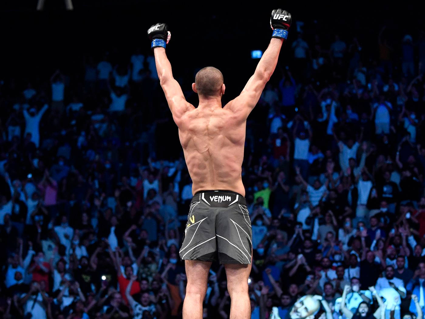 MMA 桌布 壁紙 — 一位勝利的綜合格鬥選手在八角籠頂高舉戴著手套的拳頭慶祝勝利，下方是歡呼的人群。