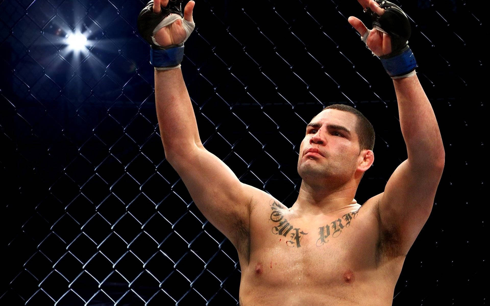 MMA 桌布 壁紙 — 一位勝利的綜合格鬥選手在昏暗的八角籠內，於明亮的聚光燈下高舉戴著手套的拳頭慶祝勝利。