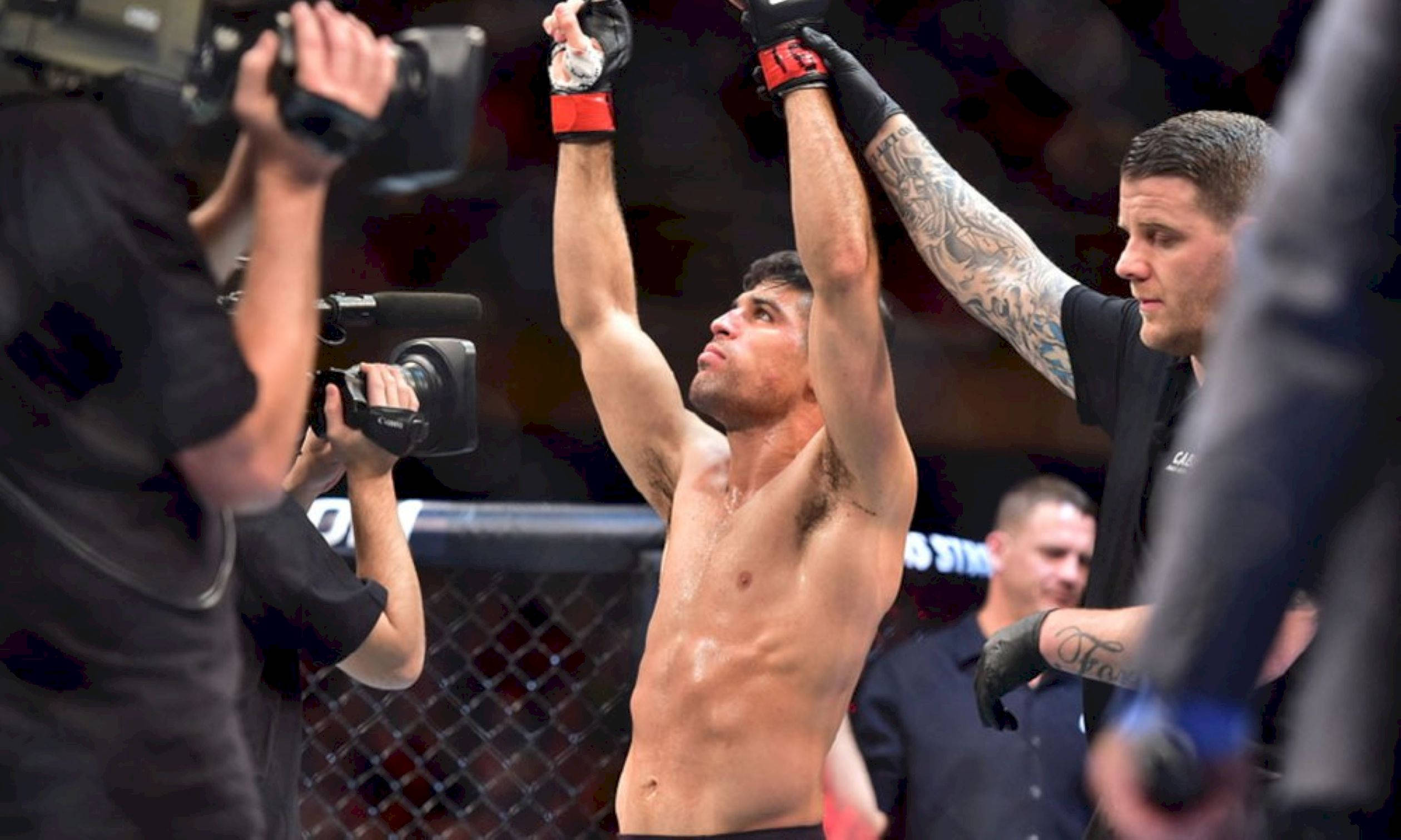 Victory 桌布 壁紙 — 一位勝利的綜合格鬥選手在籠內高舉雙臂慶祝勝利，裁判也舉起他的手。