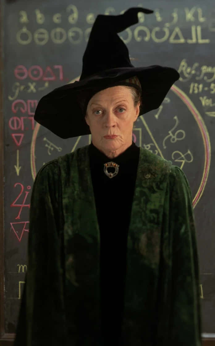 The Hogwarts Professors 桌布 壁紙 — 一位嚴肅的女巫，戴著黑帽、穿著綠袍，站在一塊佈滿魔法符號和方程式的黑板前。