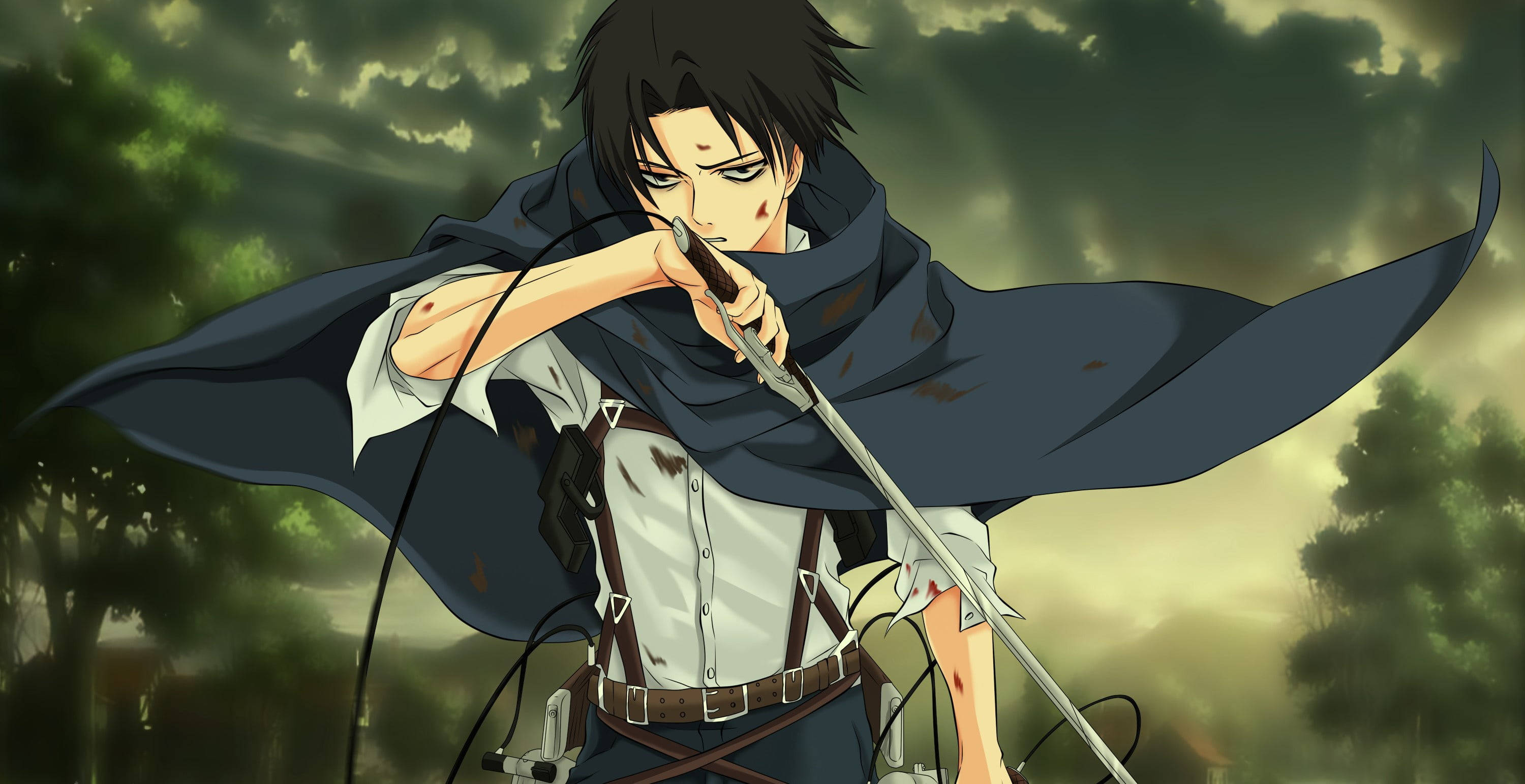 levi aesthetic 桌布 壁紙 — 一位堅定的動漫戰士身穿黑色斗篷，在暴風雨的天空和森林地形中緊握著劍。