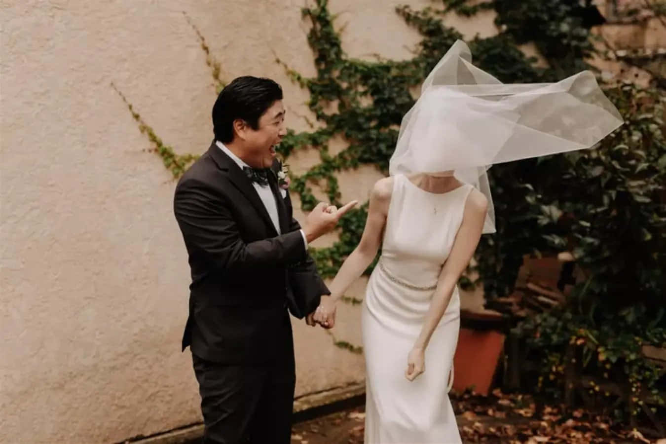 搞笑 桌布 壁紙 — 一位大笑的新郎指著他的新娘，她的頭紗在風中猛烈飄揚，背景是紋理牆壁和綠植。