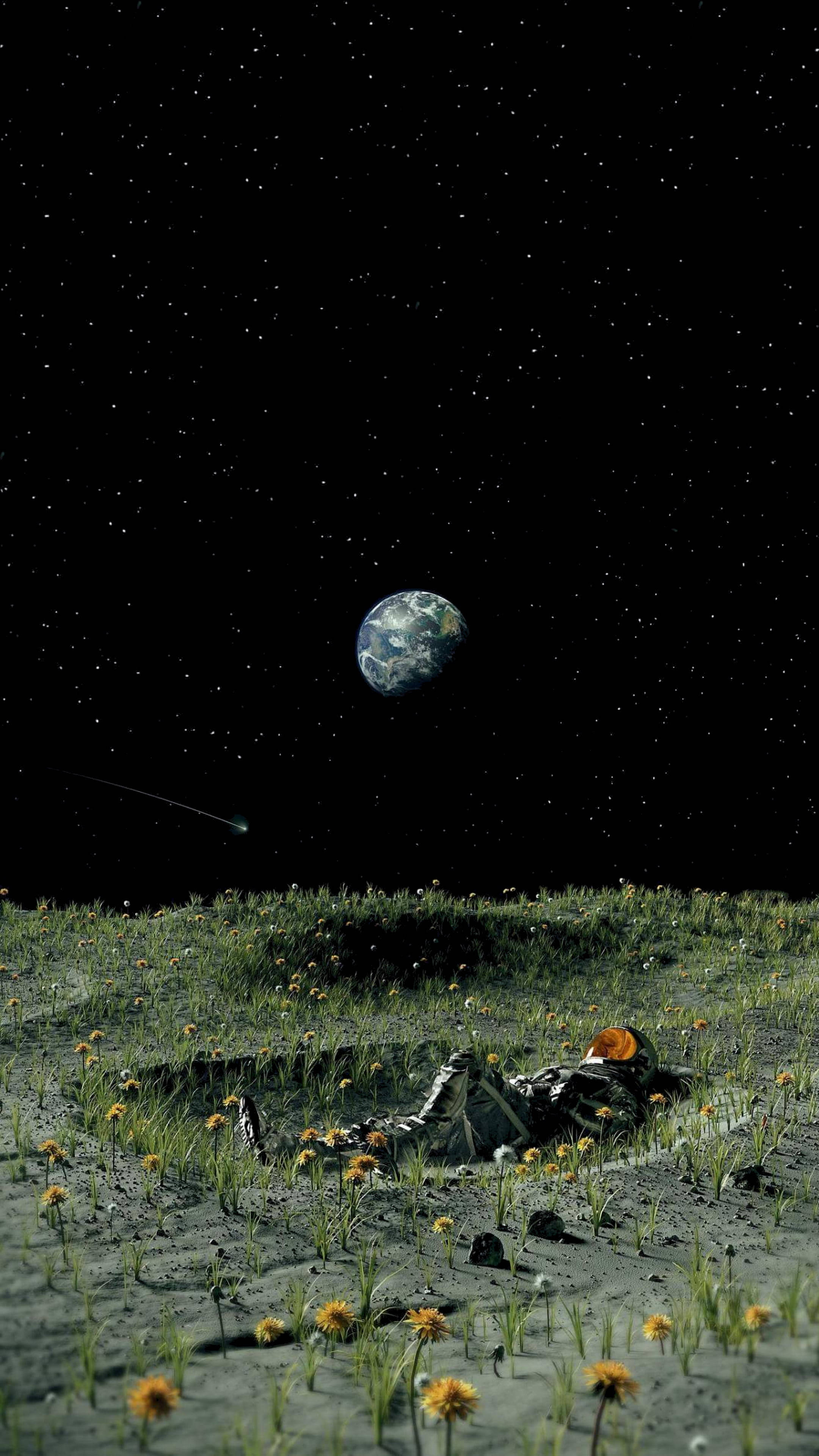 三星 桌布 壁紙 — 一位太空人在月光照耀的野花田上休息，凝視著懸掛在星空虛無中的地球。