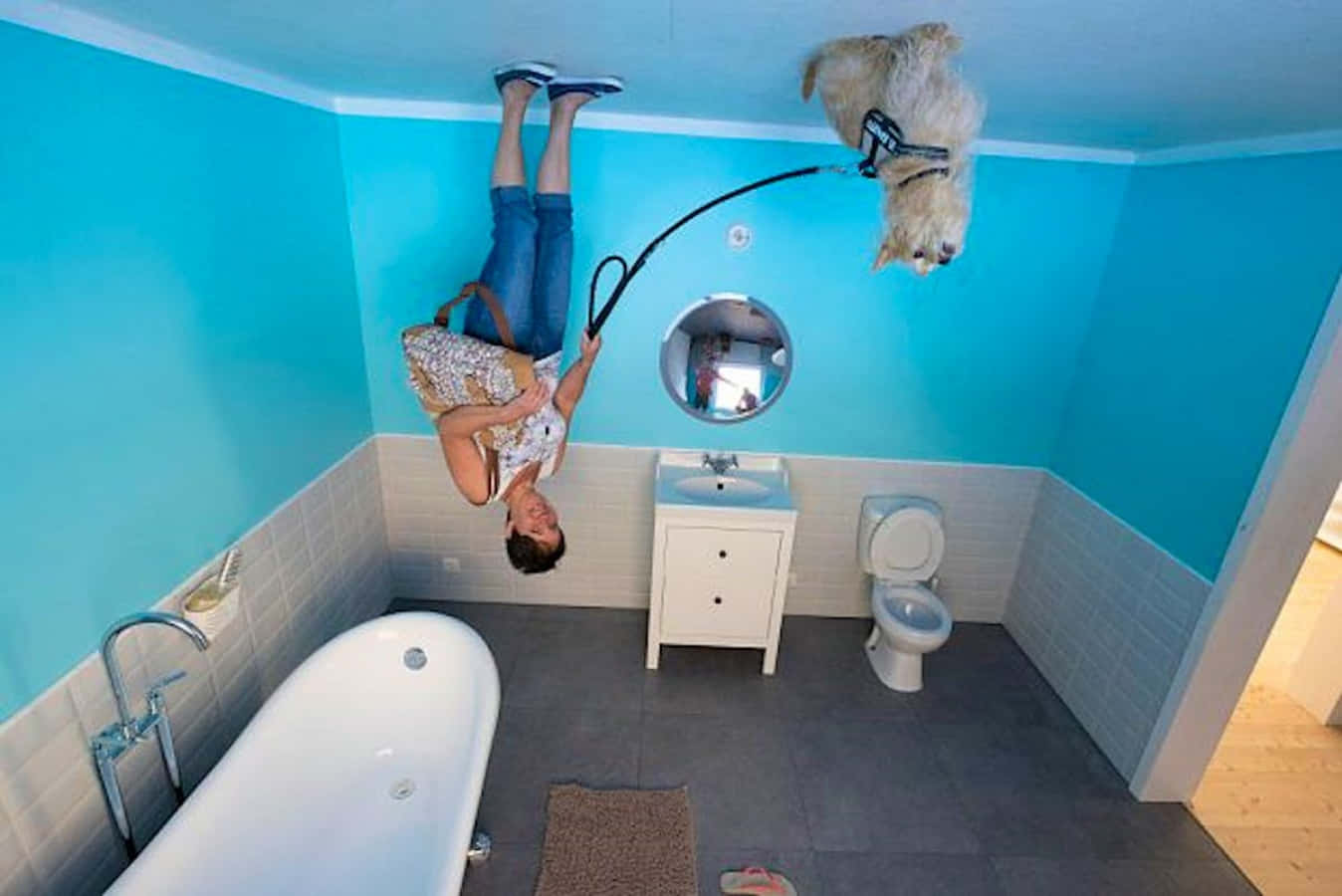 Upside Down 桌布 壁紙 — 一位女士和她的狗在一個明亮的藍色浴室中倒掛，浴室內有白色浴缸和洗手台。