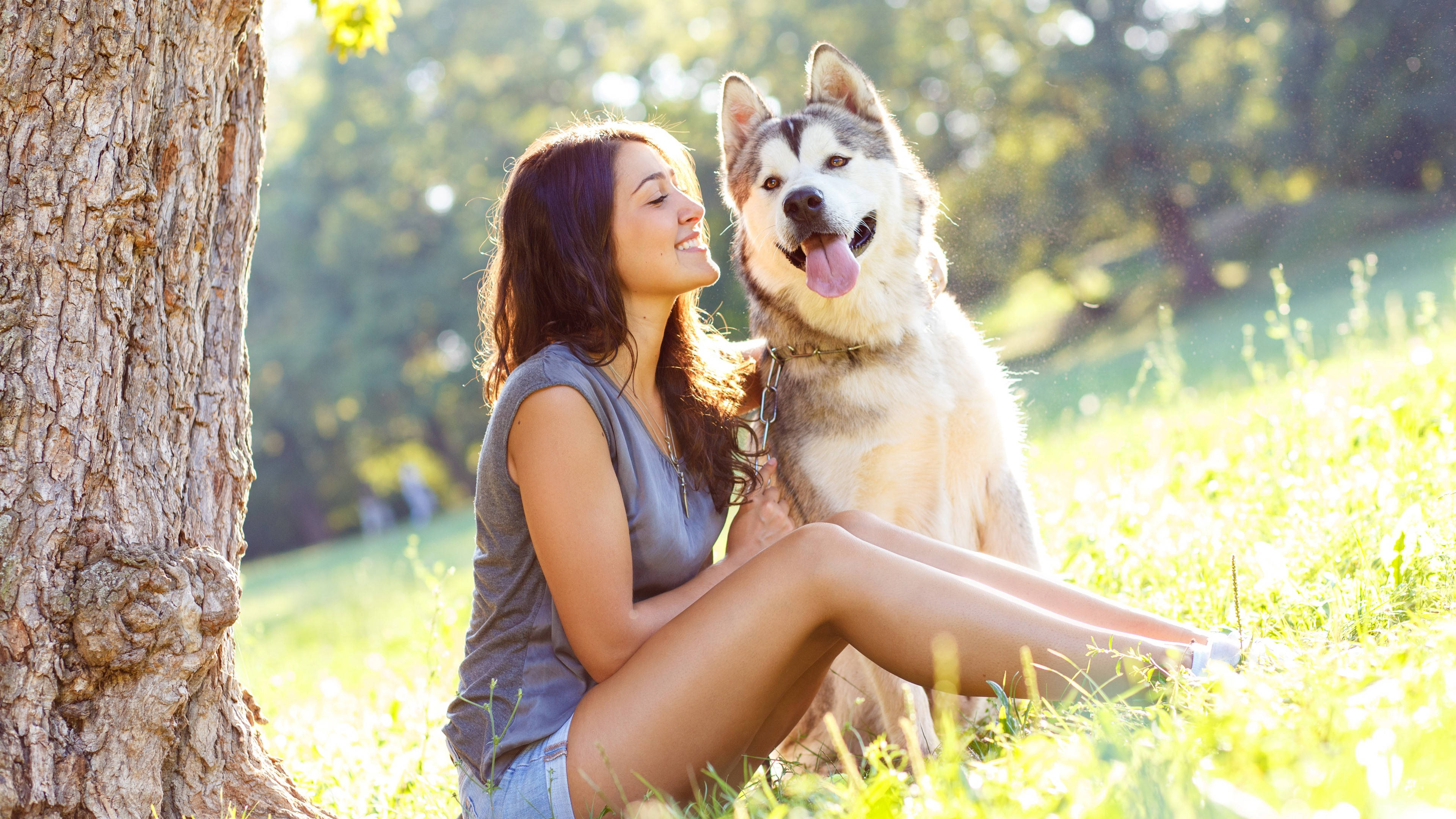 Dog And Girl 桌布 壁紙 — 一位女士在陽光明媚的草地上，坐在一棵樹下，旁邊有一隻快樂的哈士奇狗，她溫暖地微笑。