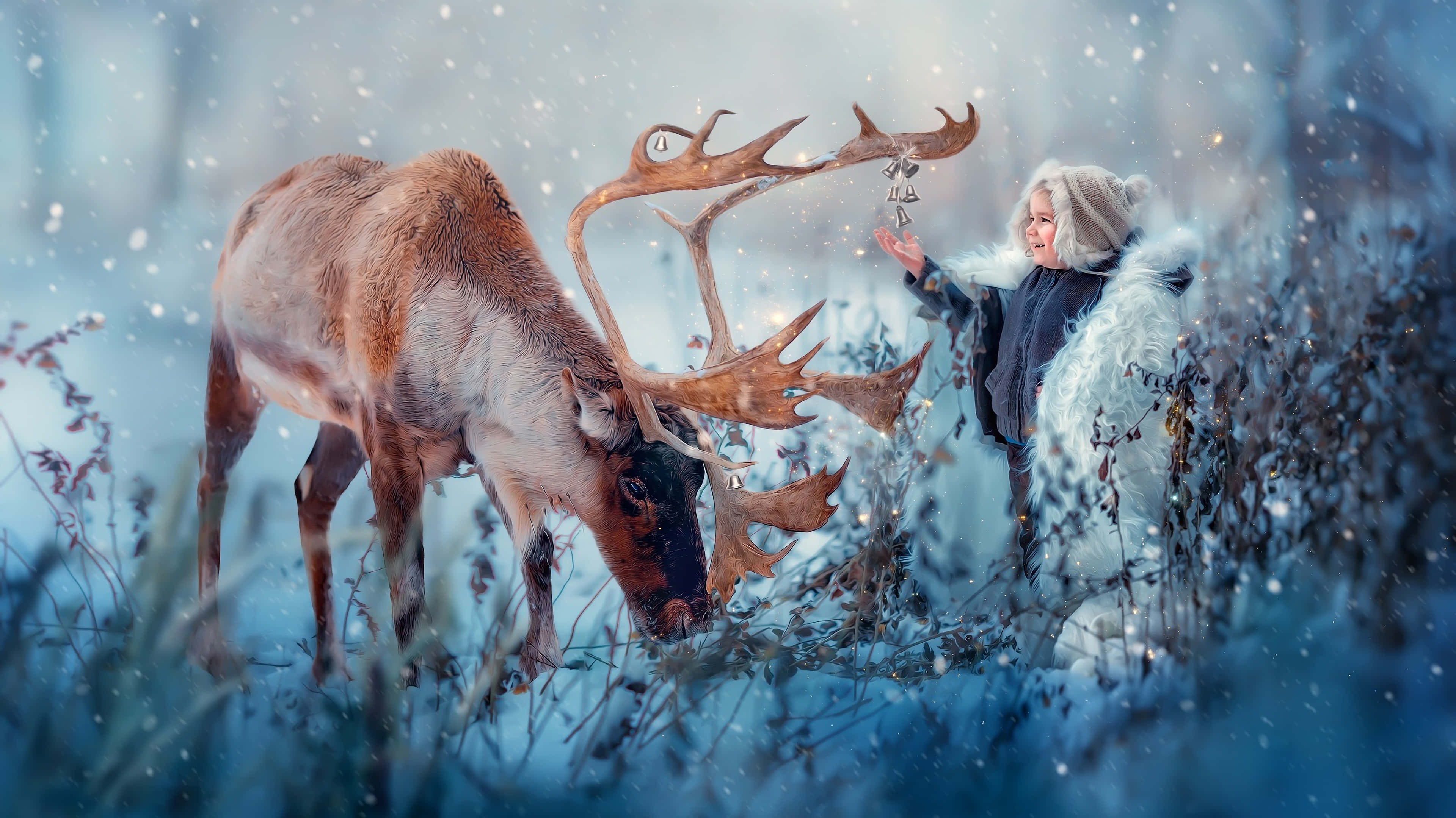 馴鹿 桌布 壁紙 — 一位女士在雪地森林中輕觸馴鹿的鹿角，雪花在他們周圍飄落。