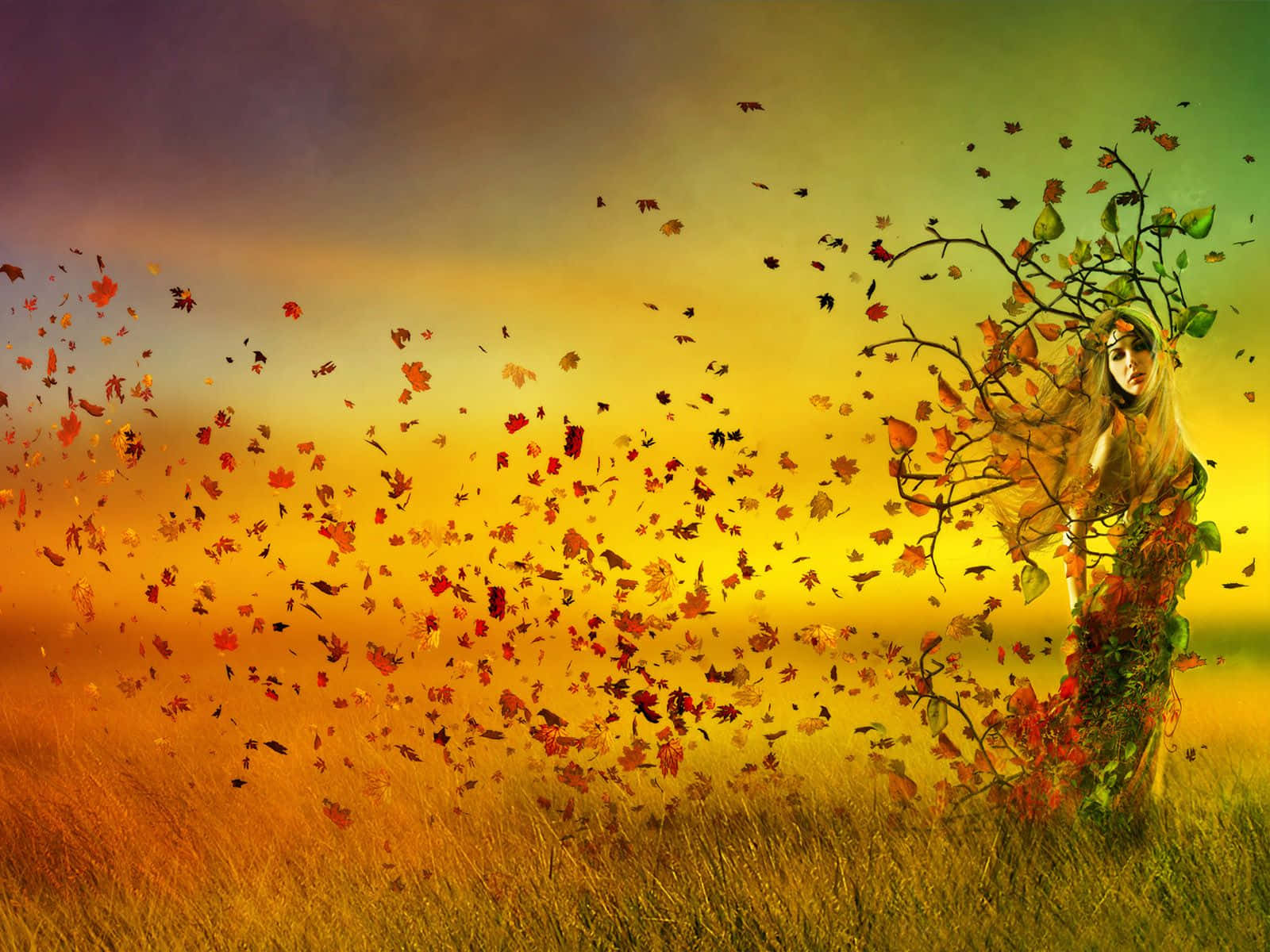 Autumnal Equinox 桌布 壁紙 — 一位女性與秋天的樹枝和落葉交織在一起，站在金色田野中，沐浴在溫暖的日落天空下。