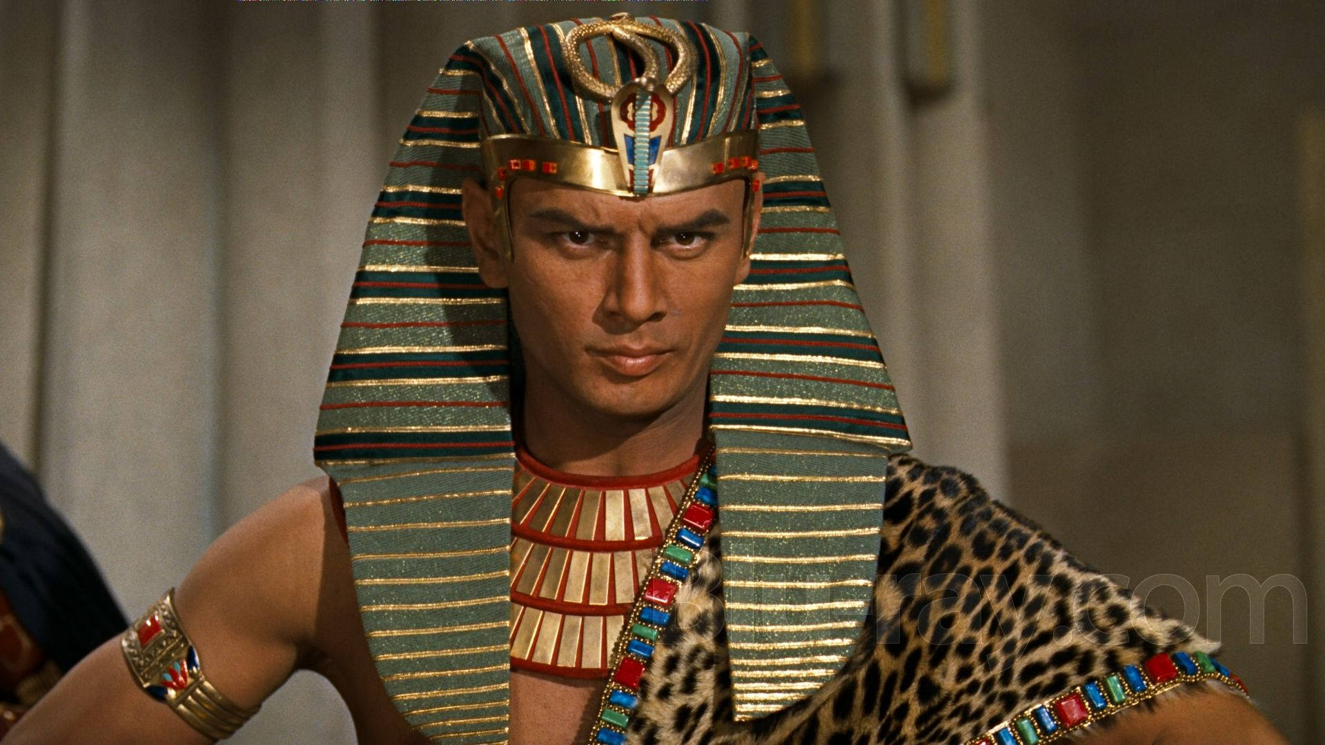 egyptian 桌布 壁紙 — 一位威嚴的埃及法老，戴著華麗的條紋頭飾和鑲有寶石的領子，披著豹皮斗篷，專注地向前凝視。