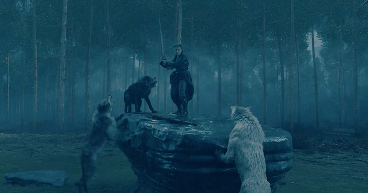 Wolf Attack 桌布 壁紙 — 一位孤獨的戰士站在霧氣瀰漫的森林中長滿青苔的岩石上，被三隻狼包圍，形成緊張的對峙。