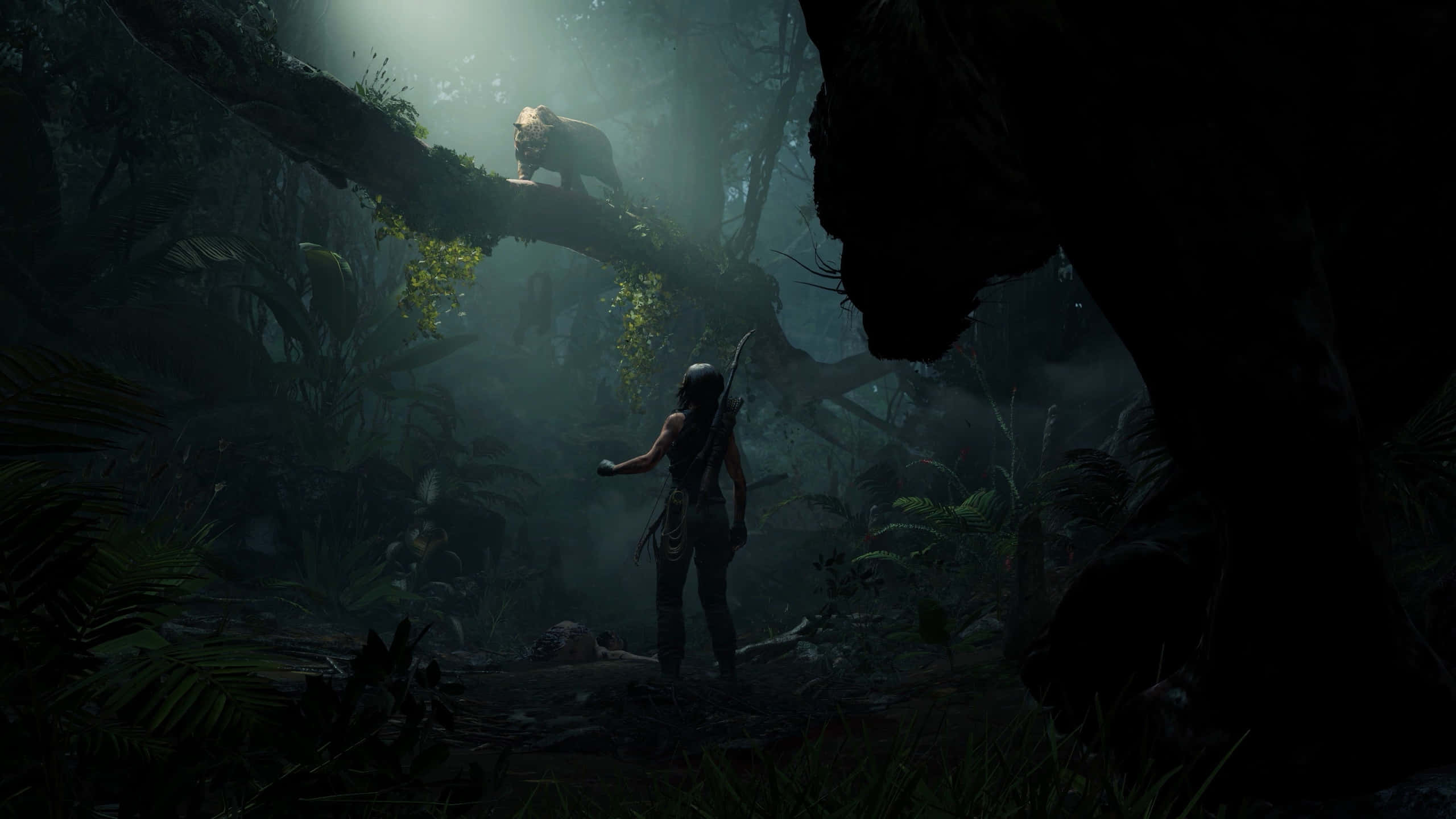 1440p Shadow Of The Tomb Raider 桌布 壁紙 — 一位孤獨的探險家站在迷霧叢林中，一隻老虎棲息在上方陽光普照的樹枝上，投下戲劇性的陰影。