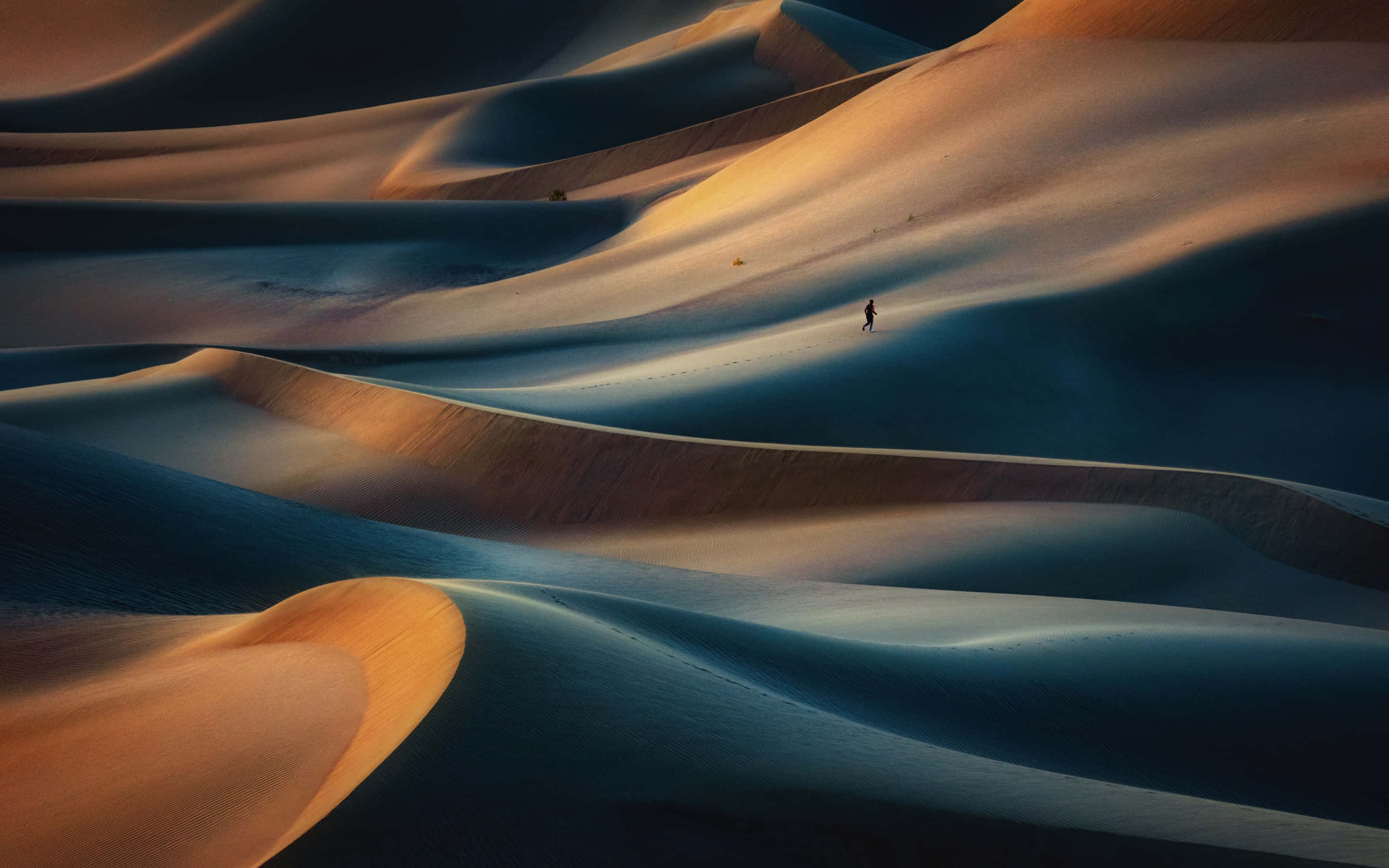 Sand Dunes 桌布 壁紙 — 一位孤獨的旅人走過廣闊起伏的沙丘，沐浴在溫暖的金色光芒中，映襯著清涼的藍色陰影。